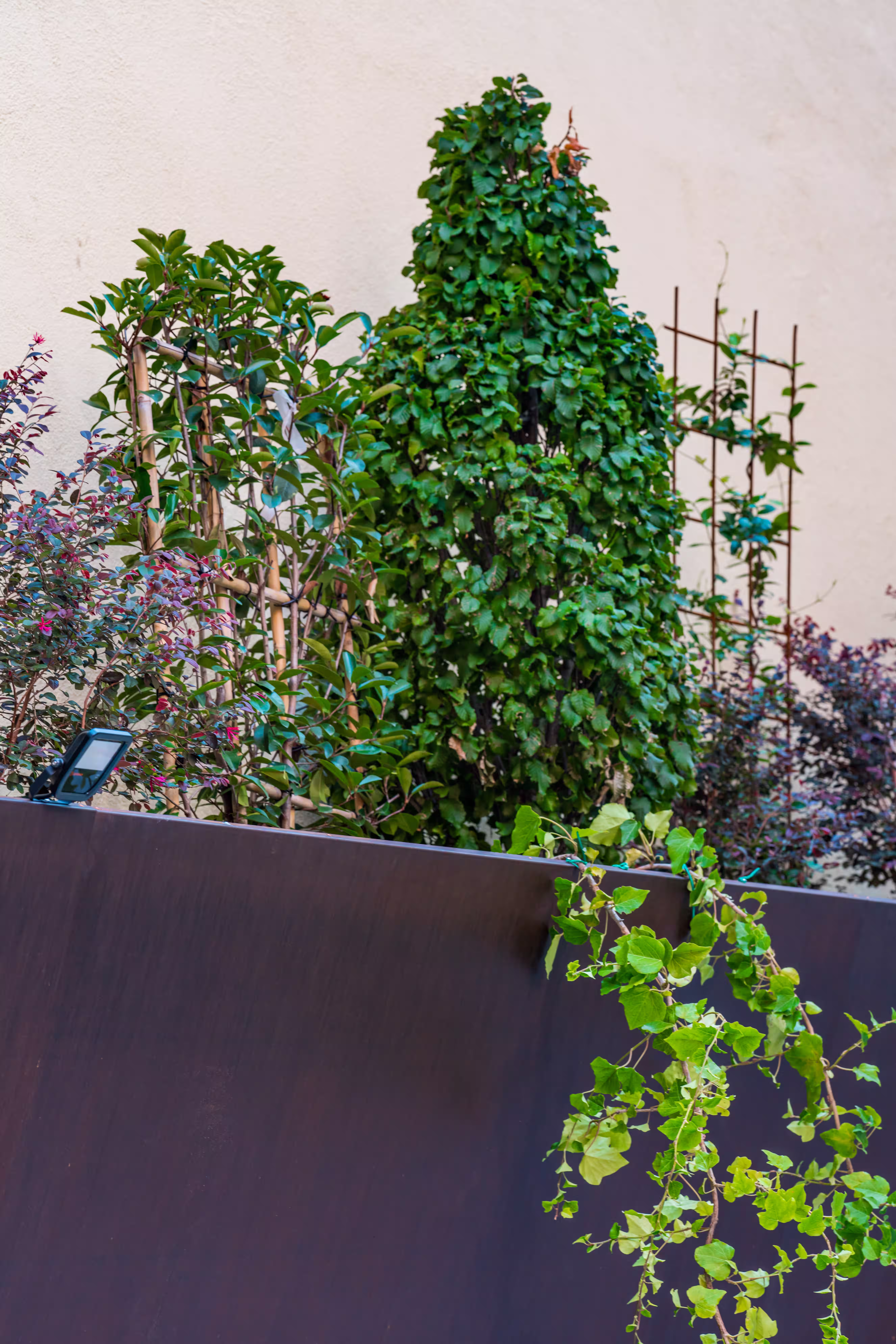 Vivai Feder - Fioriera in Corten Piazza Renato Simoni 3