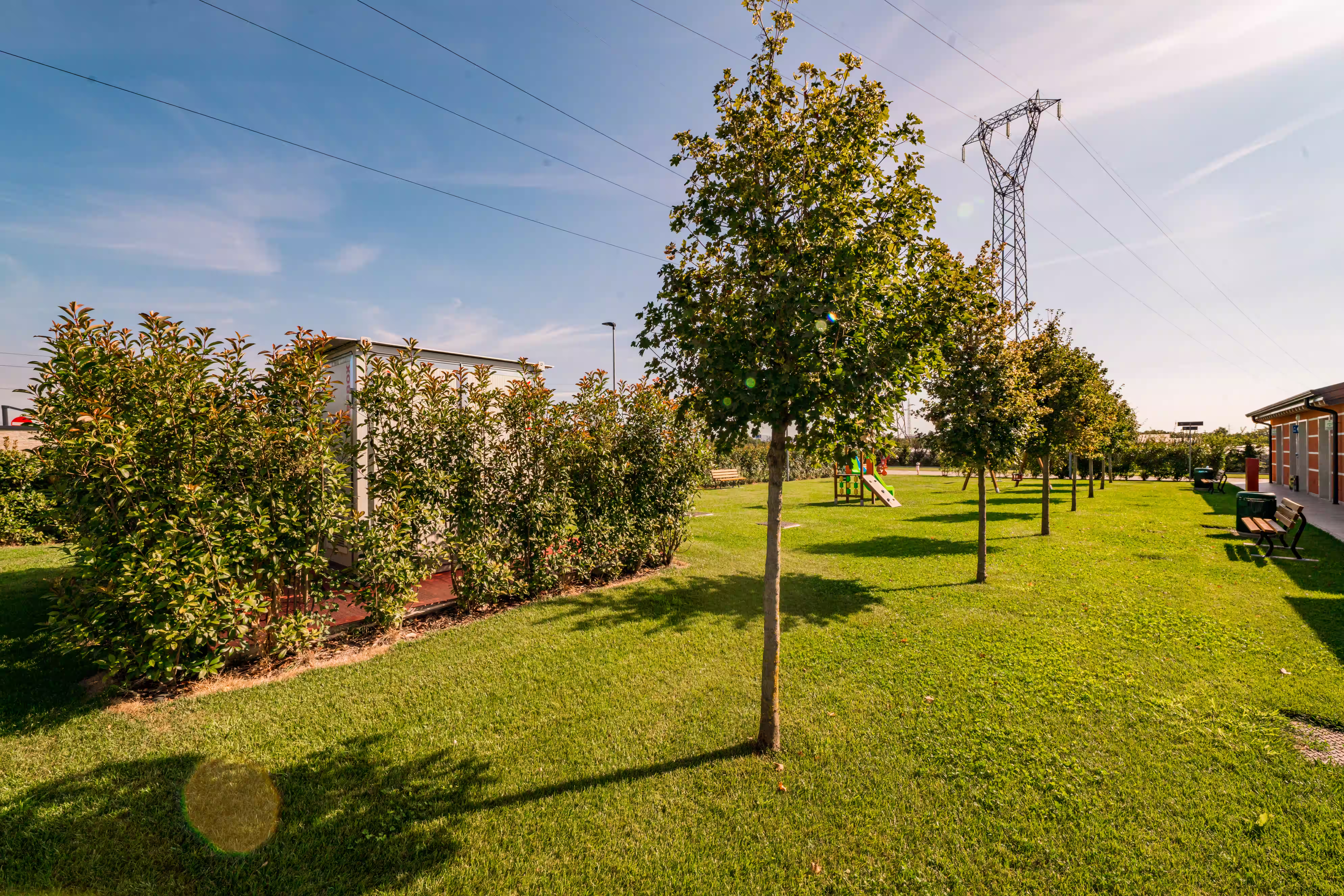 Vivai Feder - Realizzazione Verde Camping Verona Village 2