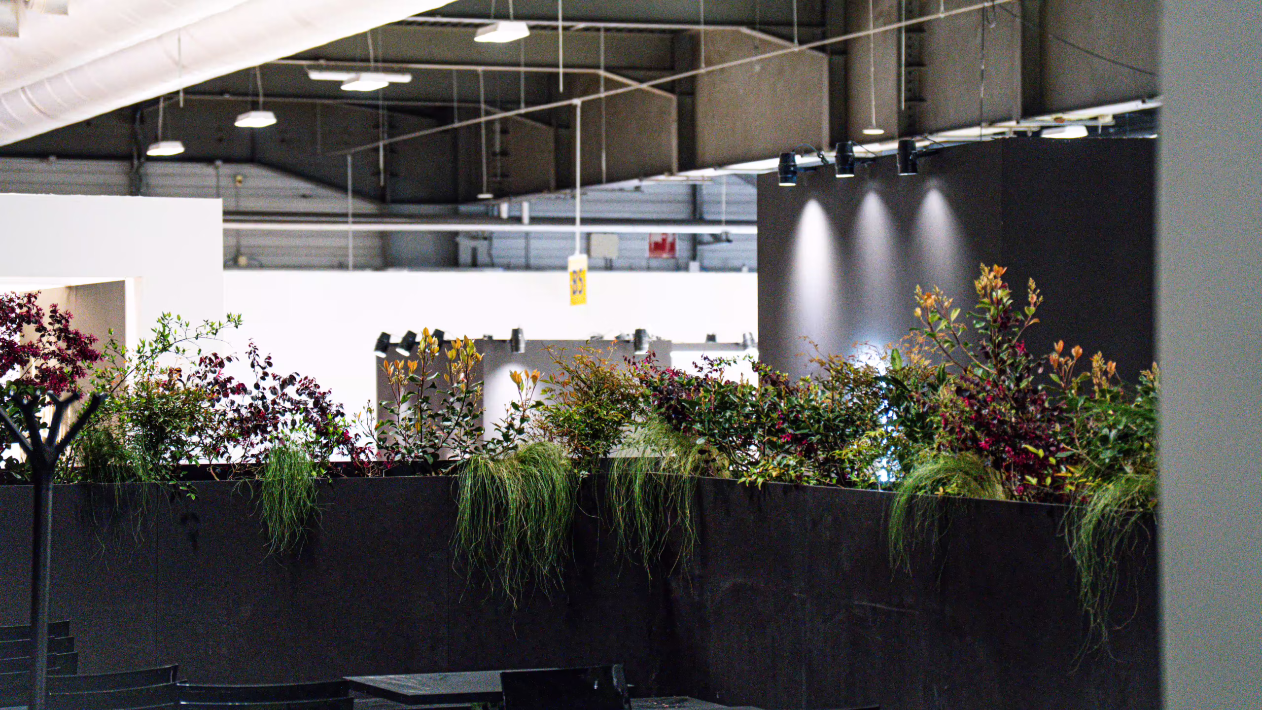 Vivai Feder - Allestimenti - Regione Veneto Vinitaly 3