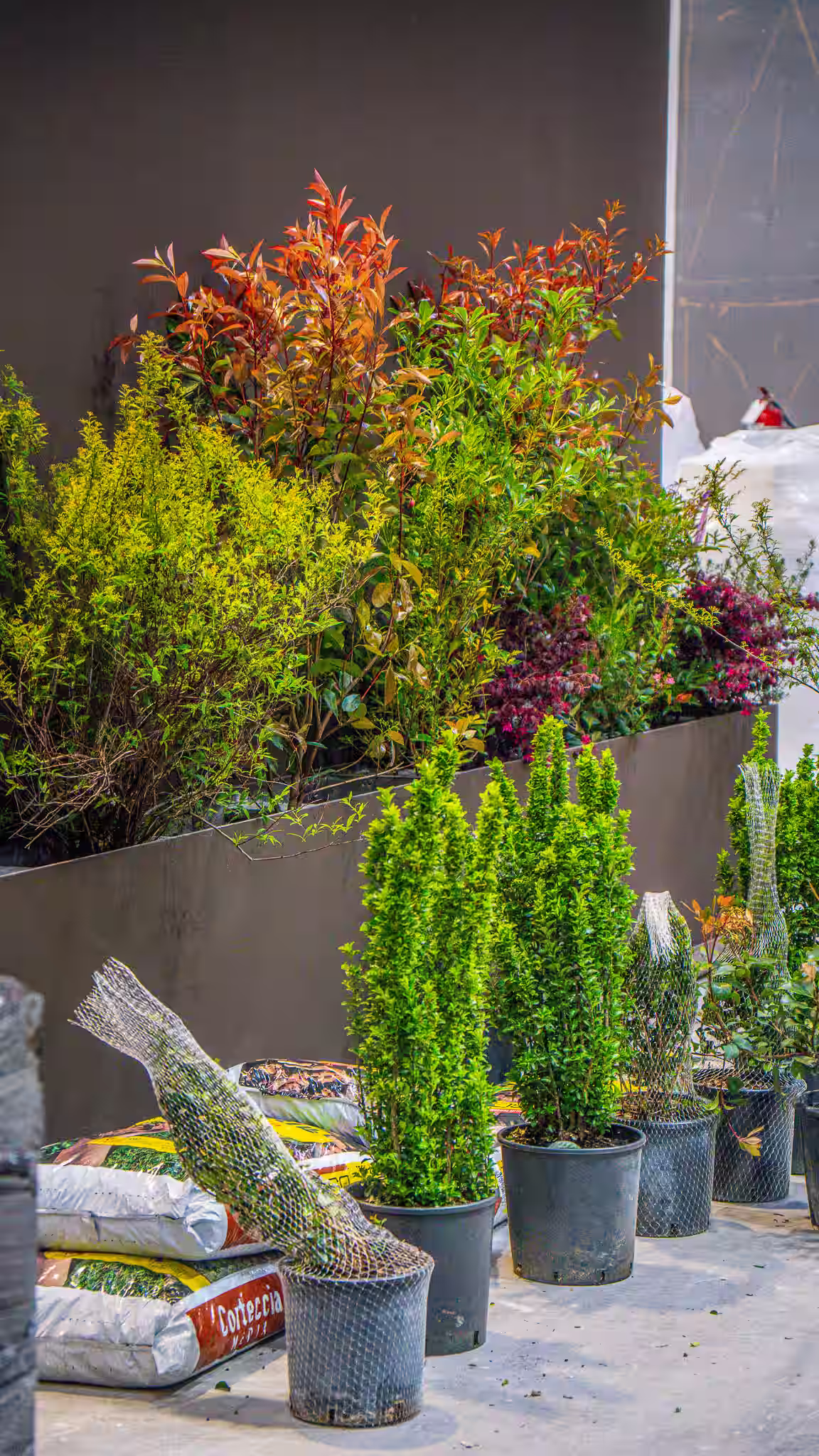 Vivai Feder - Allestimenti - Famiglia Cecchi 1