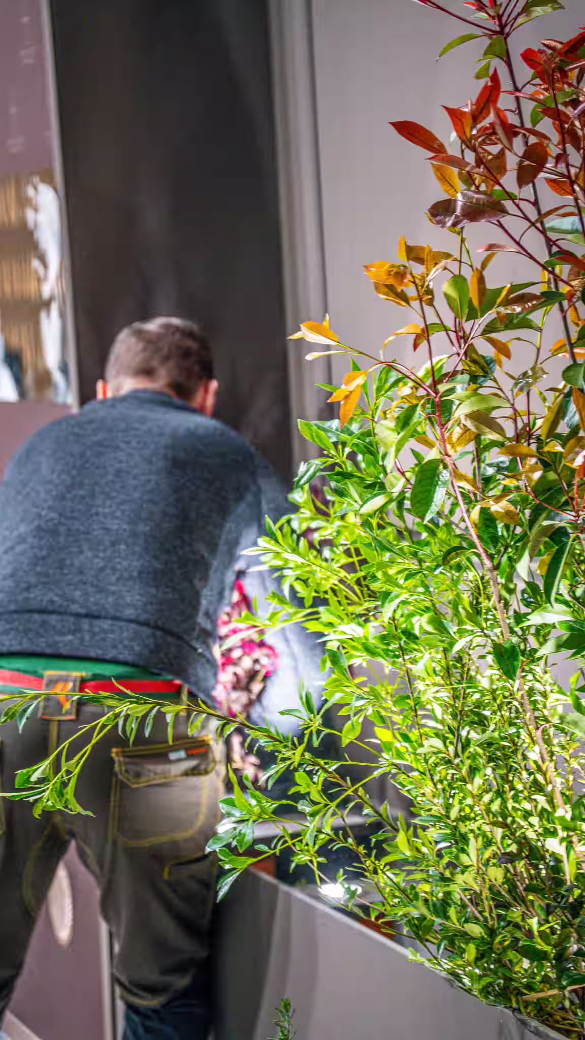 Vivai Feder - Allestimenti - Famiglia Cecchi 2