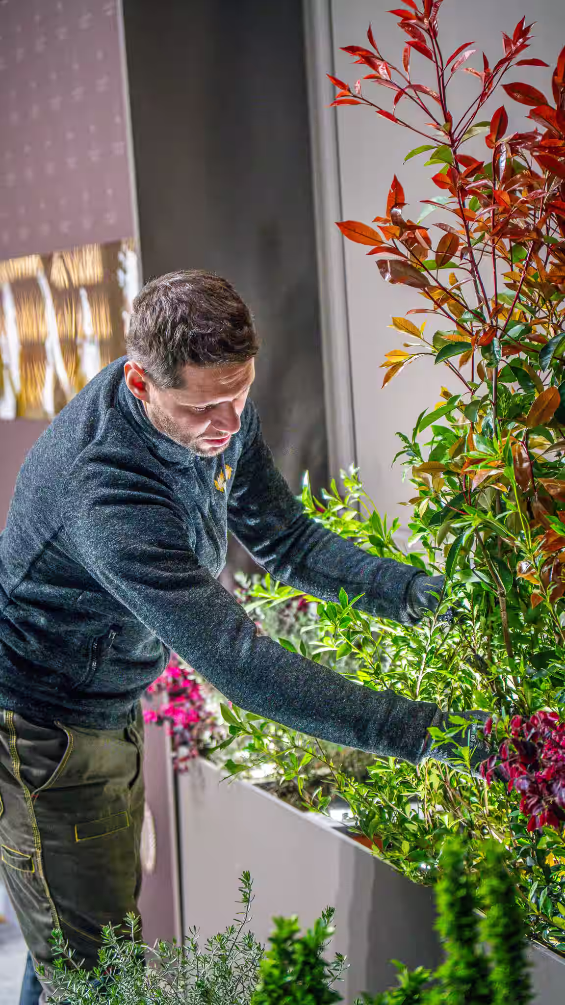 Vivai Feder - Allestimenti - Famiglia Cecchi 3