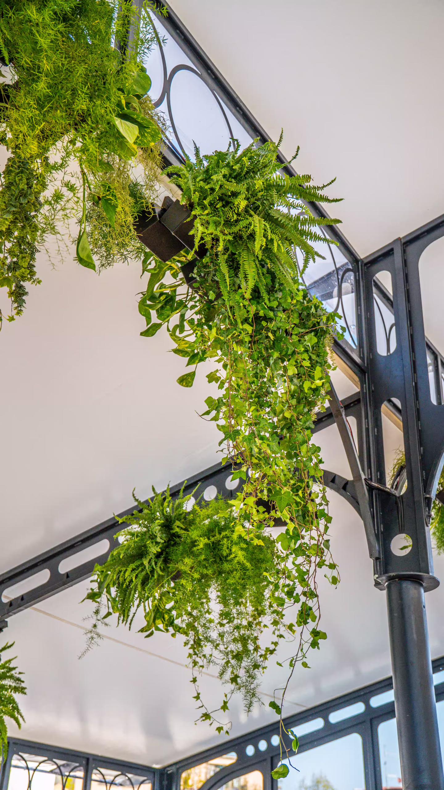 Vivai Feder - Allestimenti - Stand Prosecco 5