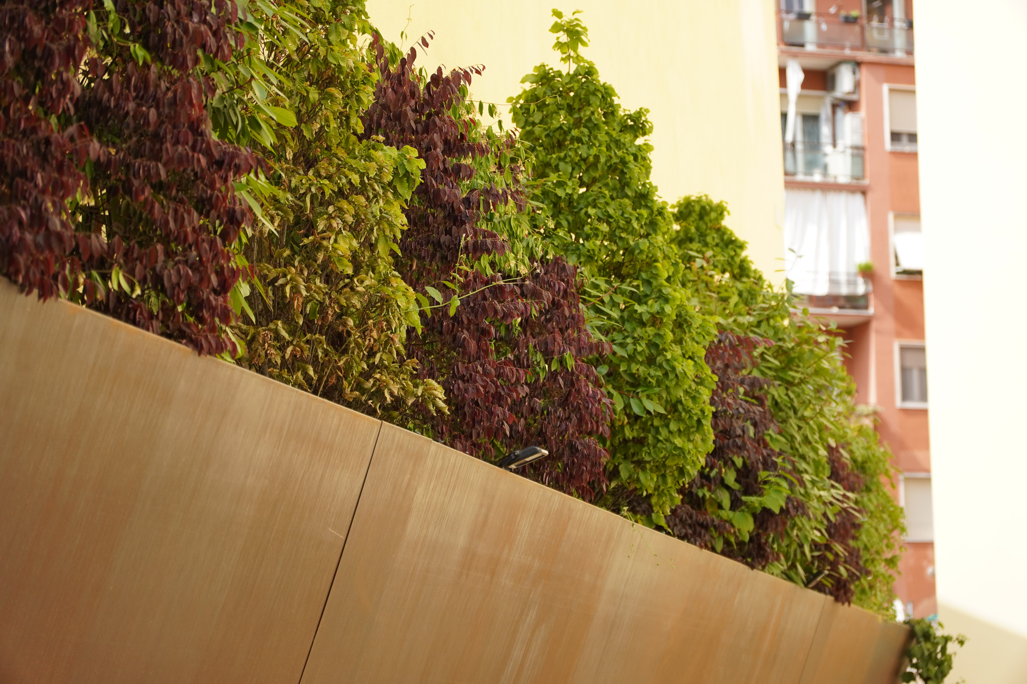 Vivai Feder - Fioriera in Corten Piazza Renato Simoni 6