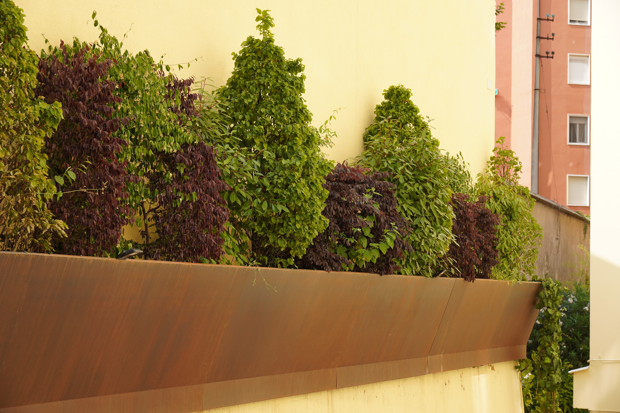 Vivai Feder - Fioriera in Corten Piazza Renato Simoni 8