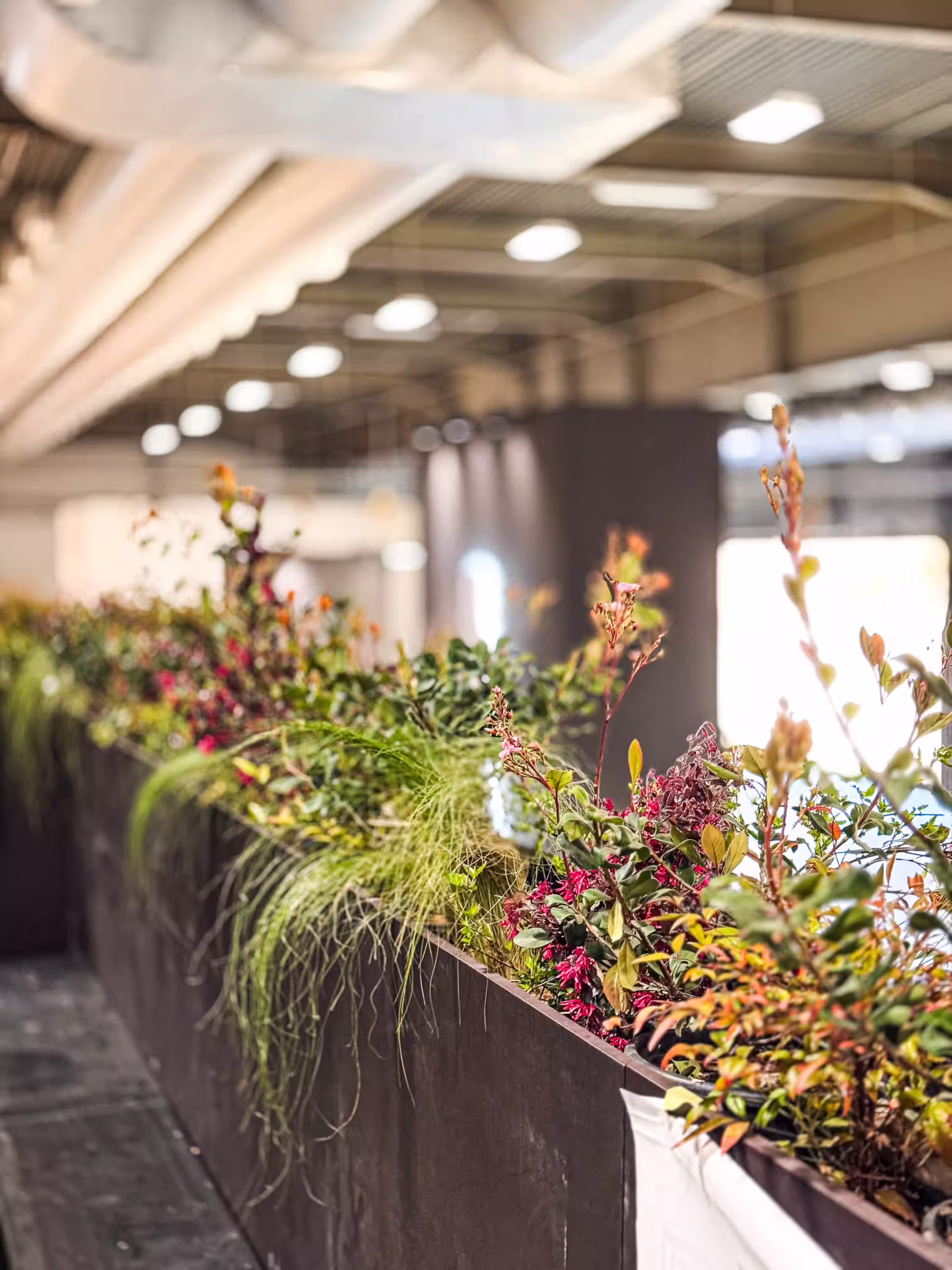 Vivai Feder - Allestimenti - Regione Veneto Vinitaly 4