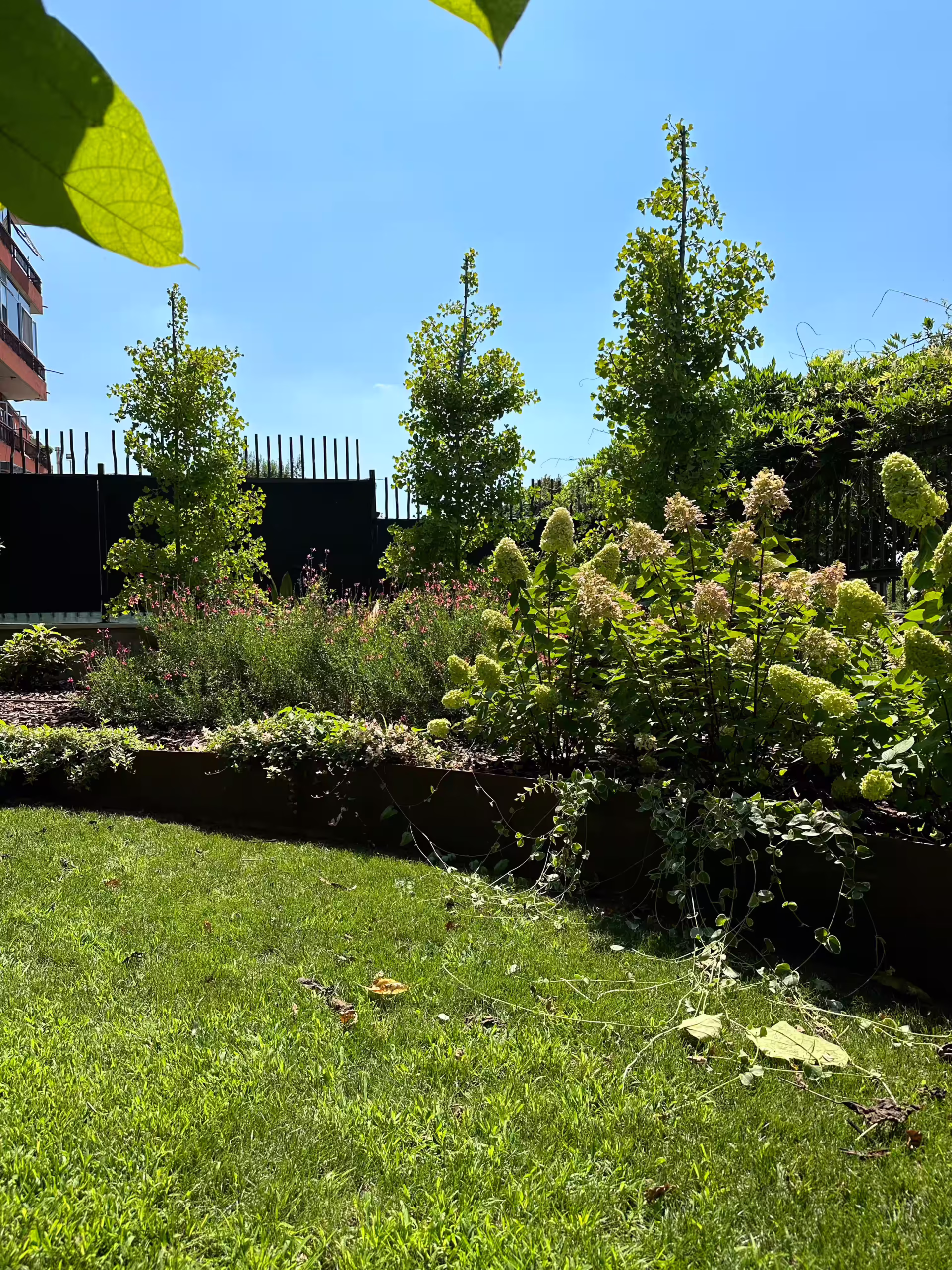 Vivai Feder - Realizzazione - Parco con illuminazione 2 | 3