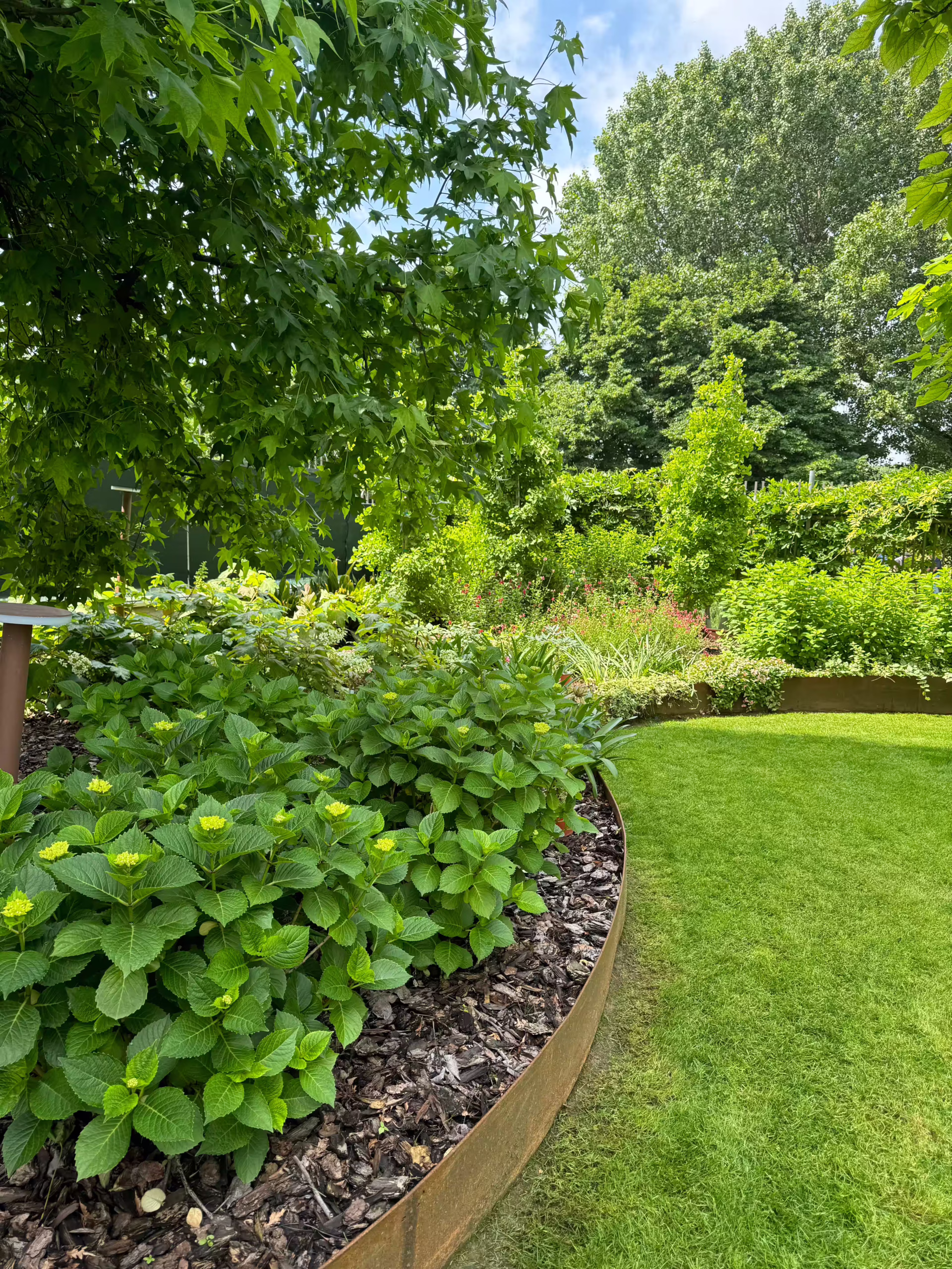 Vivai Feder - Realizzazione - Parco con illuminazione 2 | 4