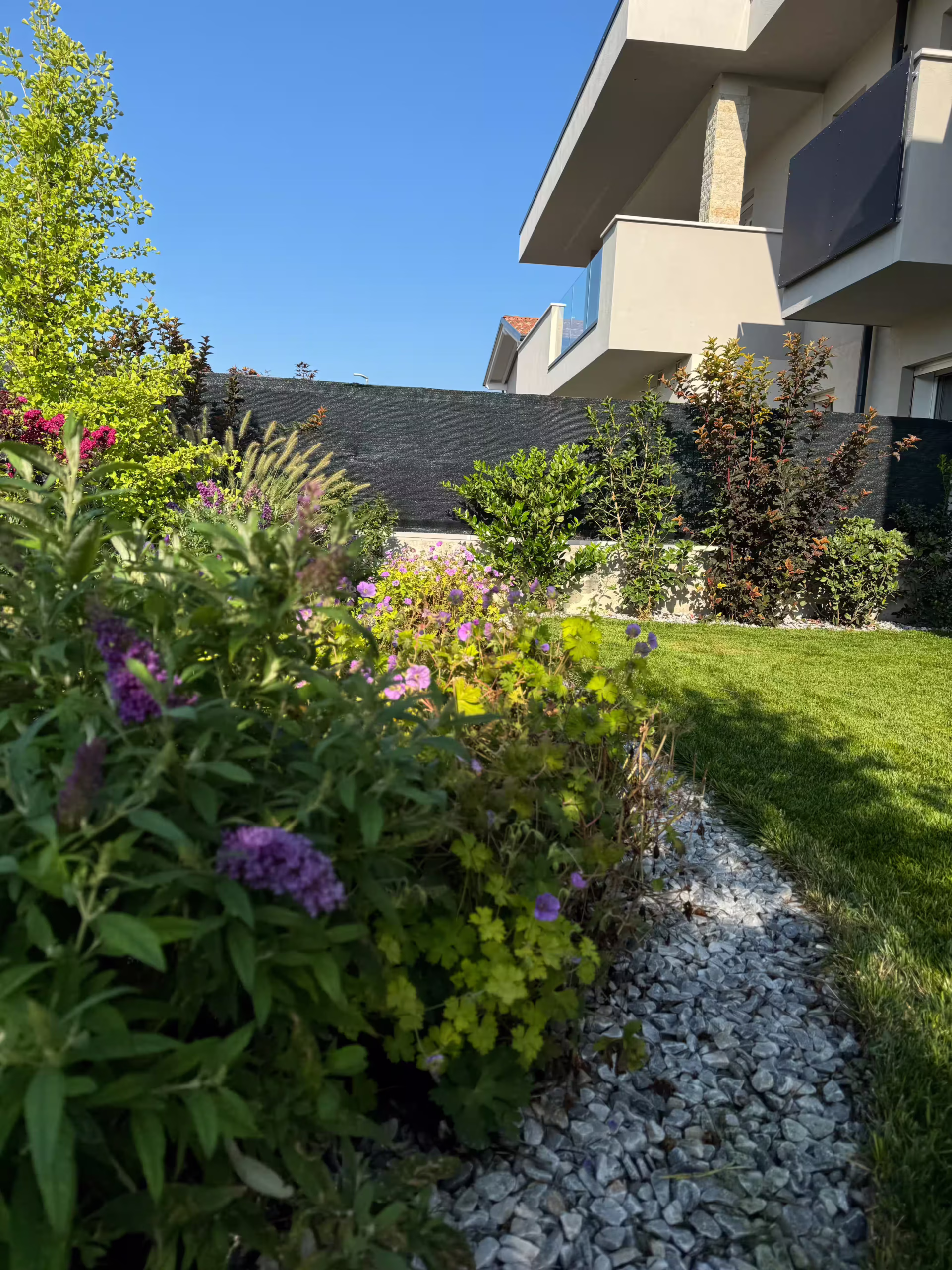 Vivai Feder - Realizzazione - Villetta a Schiera Villafranca 3