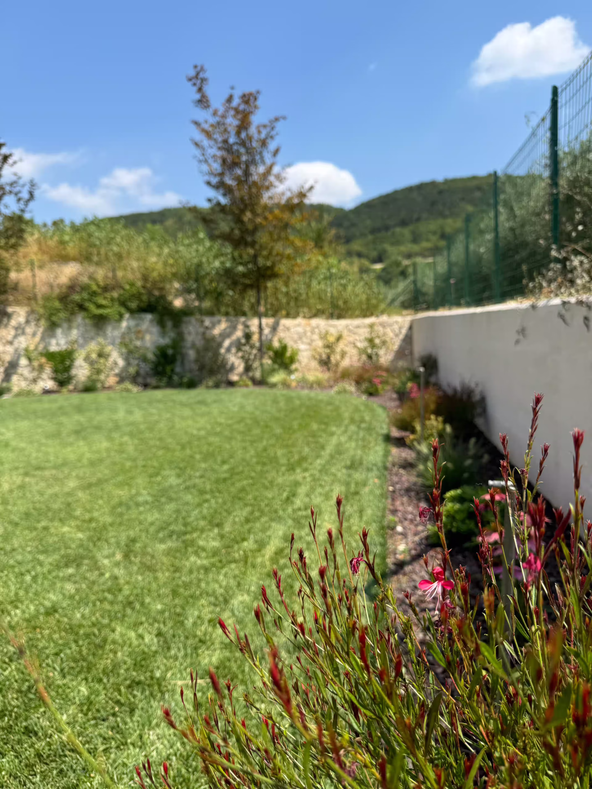 Vivai Feder - Realizzazione - Grezzana 3