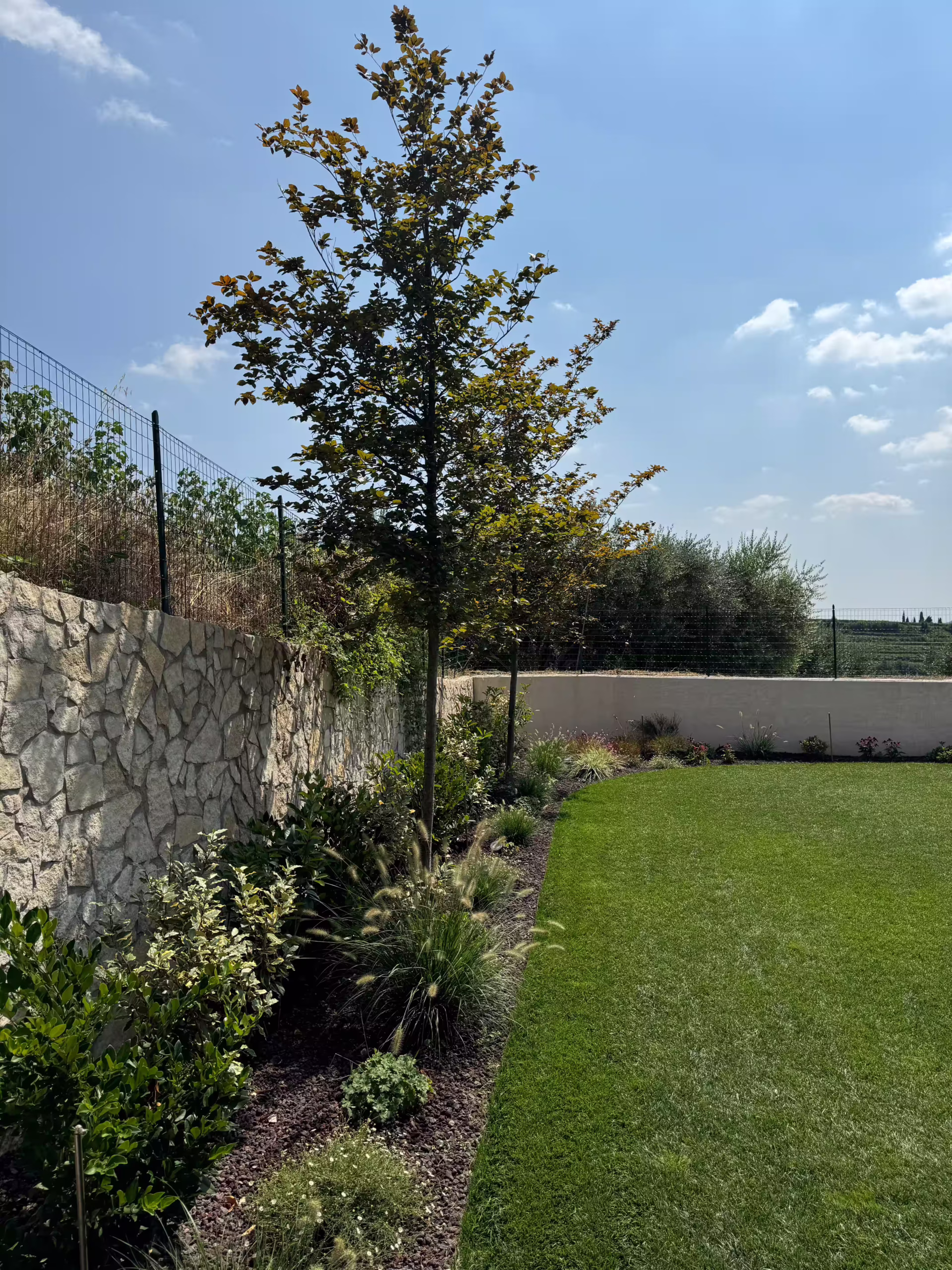 Vivai Feder - Realizzazione - Grezzana 4