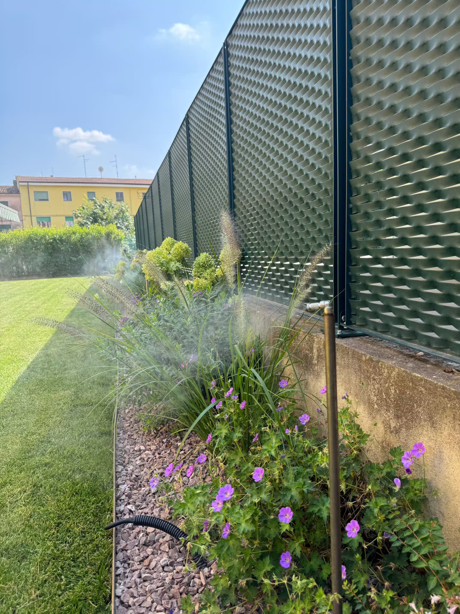 Vivai Feder - FeeZanz - Mezzane 1