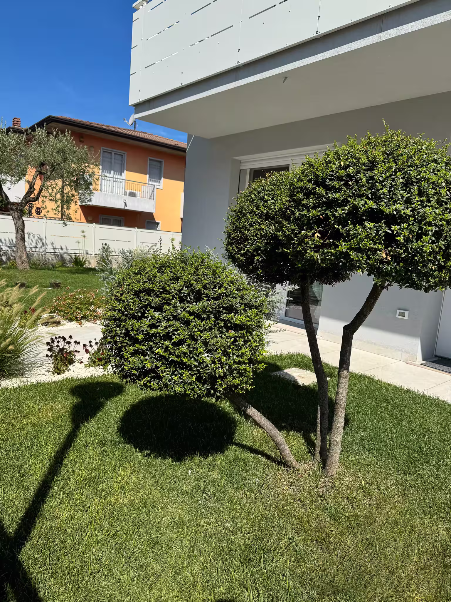 Vivai Feder - Realizzazione