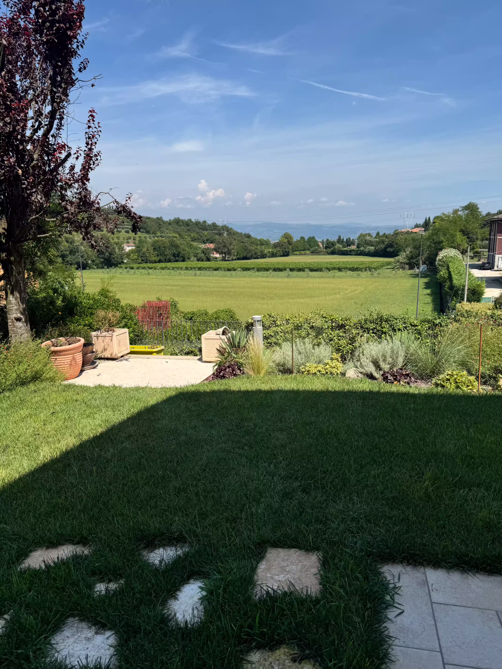 Vivai Feder - Realizzazione - Giardino e Freezanz Palazzolo di Sona 1