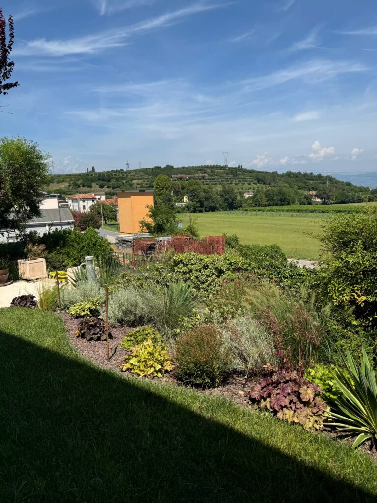 Vivai Feder - Realizzazione - Giardino e Freezanz Palazzolo di Sona 2