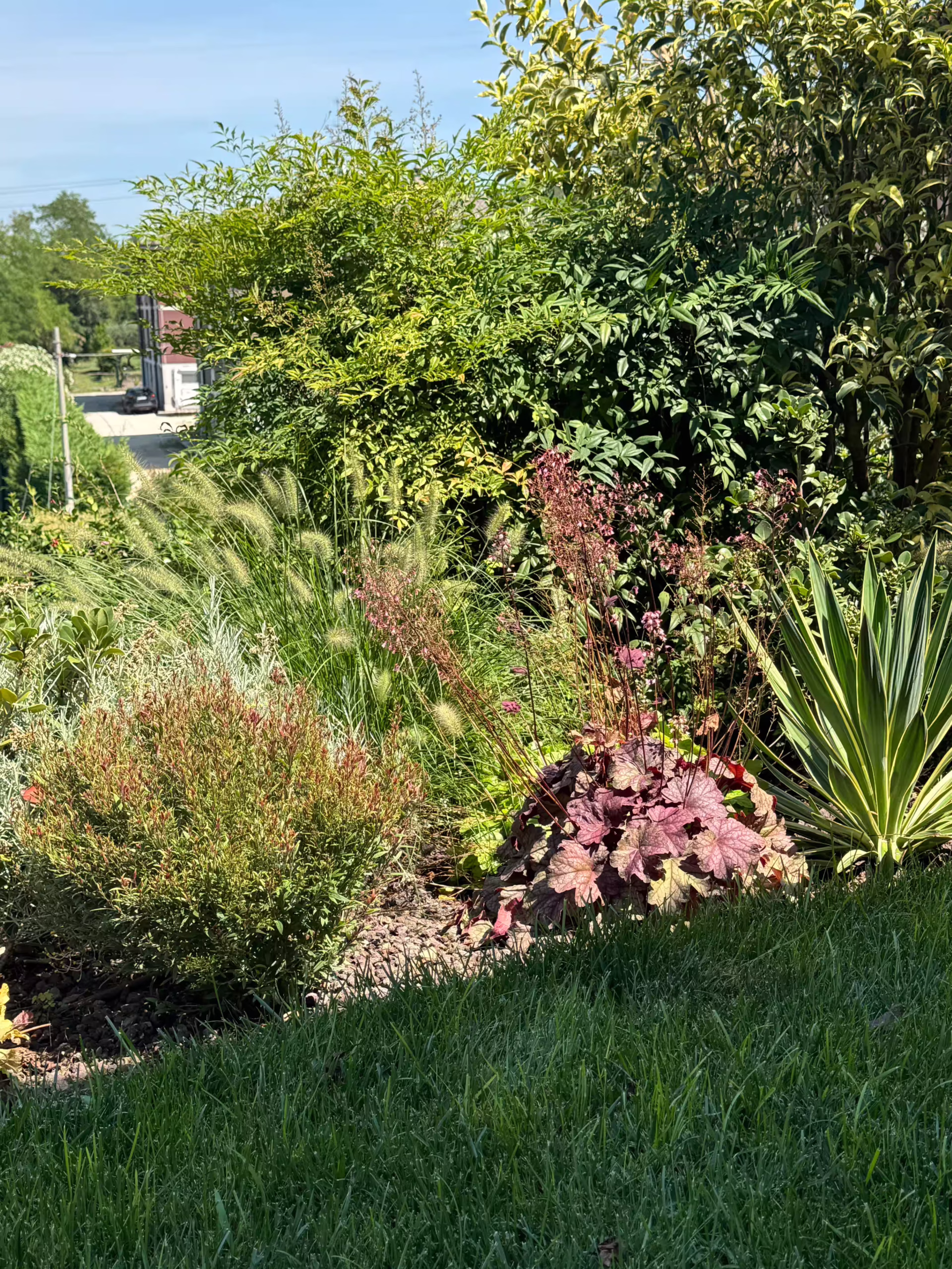 Vivai Feder - Realizzazione - Giardino e Freezanz Palazzolo di Sona 5