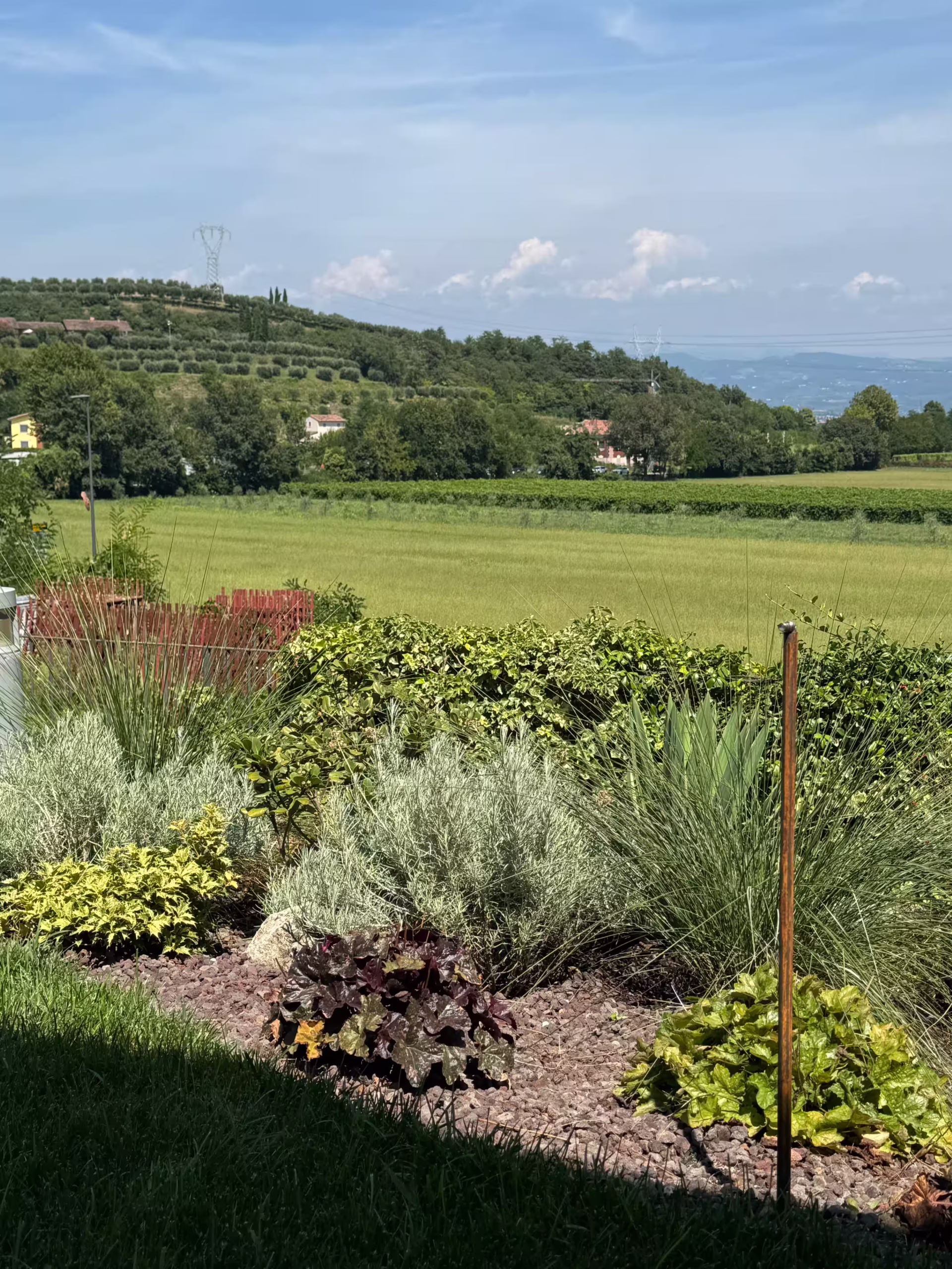 Vivai Feder - Realizzazione - Giardino e Freezanz Palazzolo di Sona 6