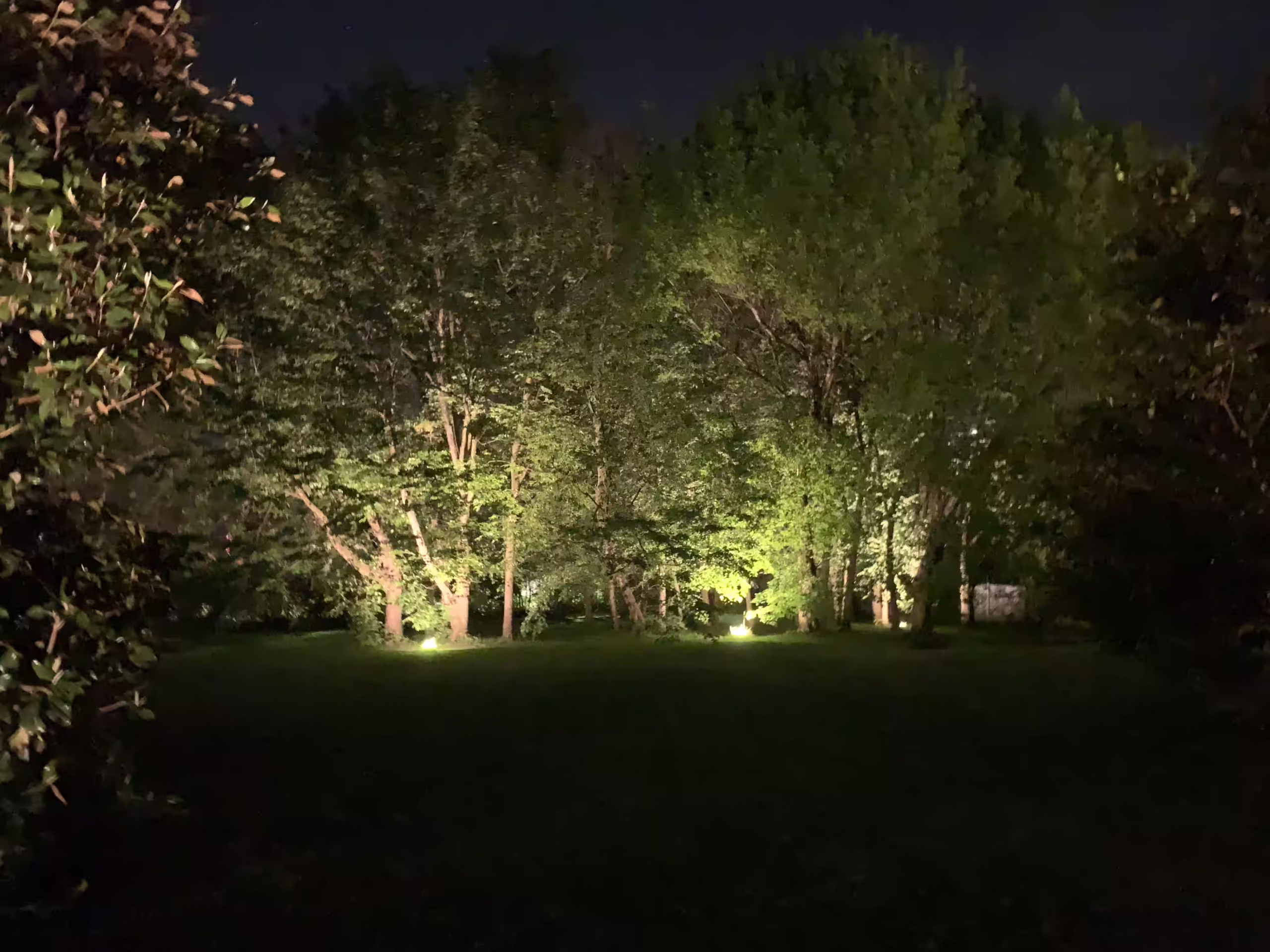 Vivai Feder - Realizzazione - Parco con impianto illuminazione 12