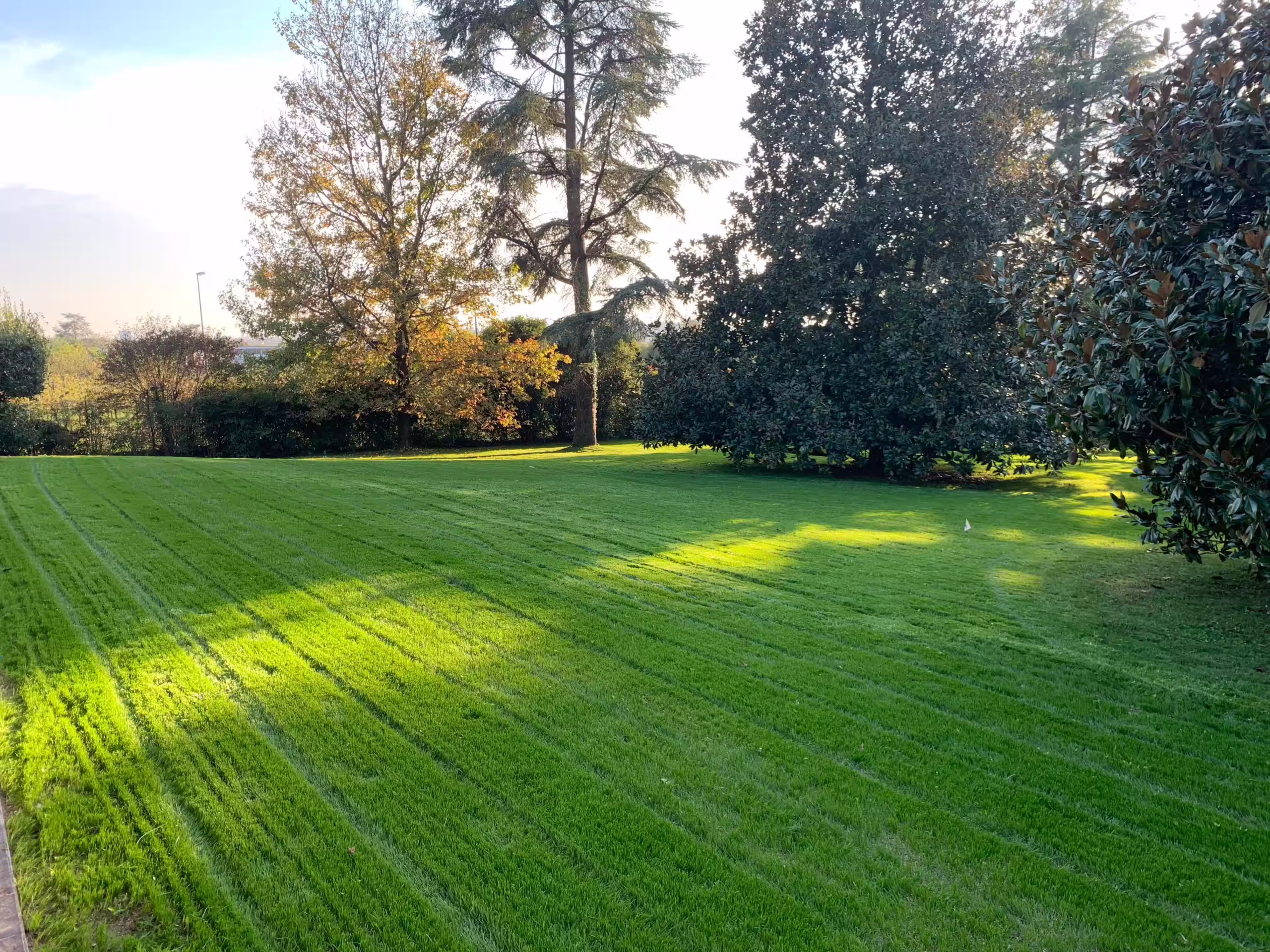 Vivai Feder - Realizzazione - Parco con impianto illuminazione 10