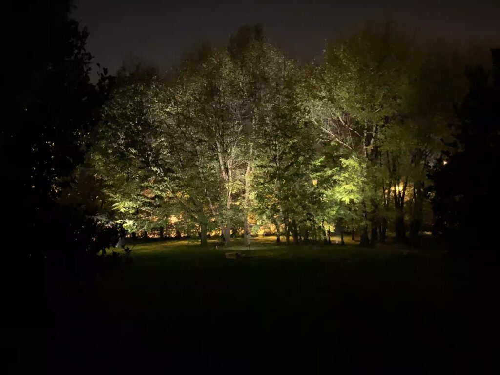 Vivai Feder - Realizzazione - Parco con impianto illuminazione 9