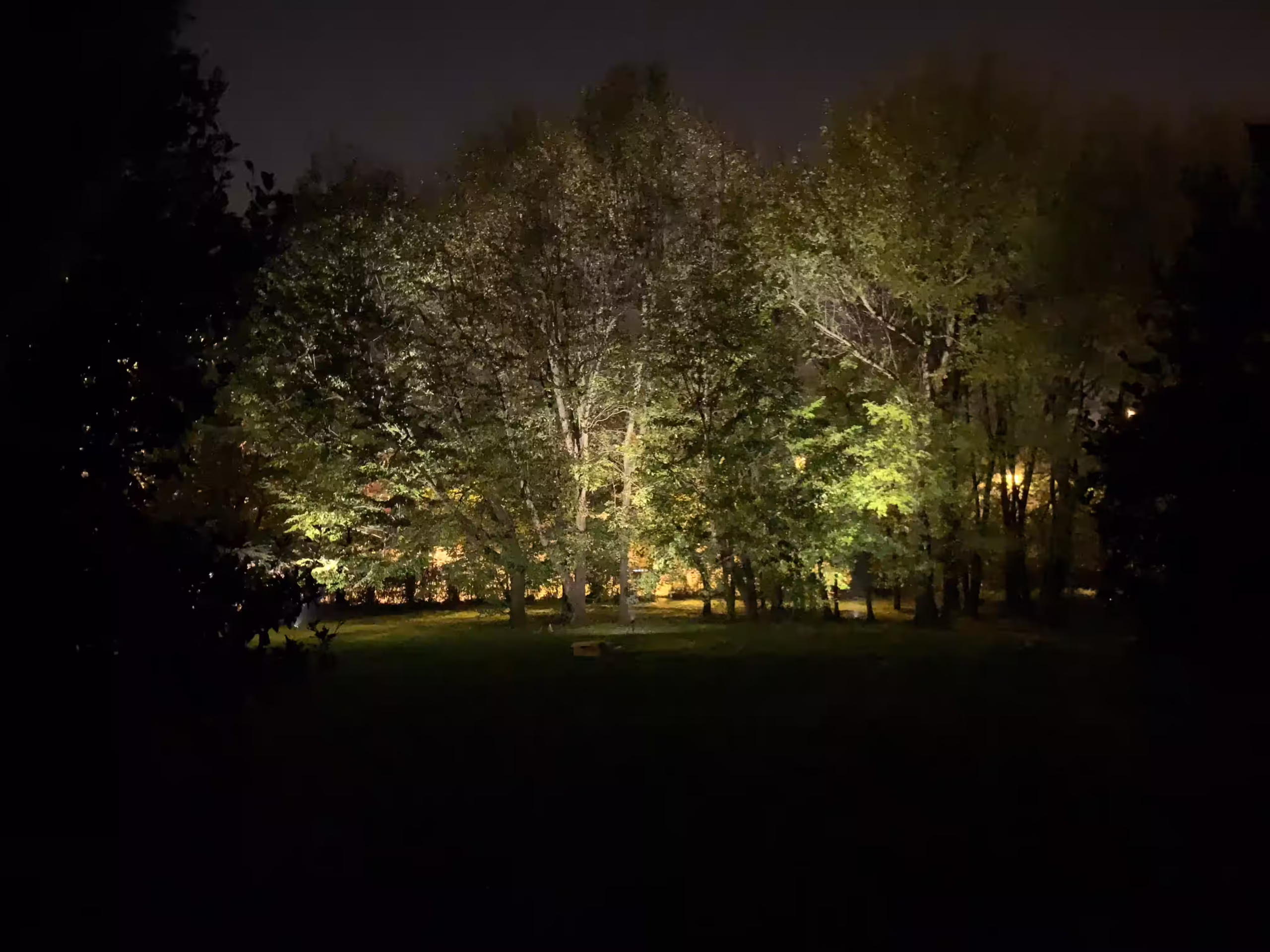 Vivai Feder - Realizzazione - Parco con impianto illuminazione 9