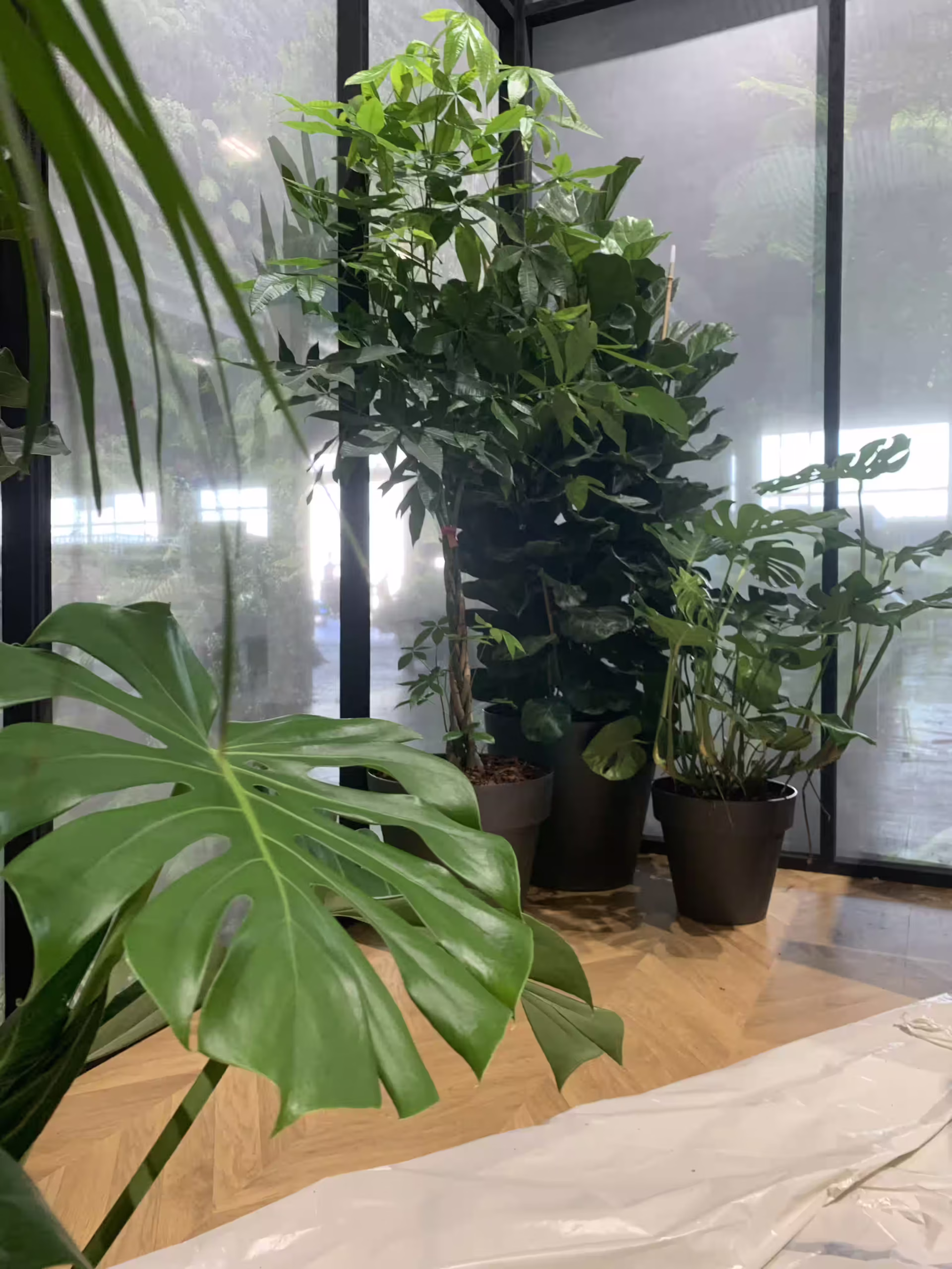 Vivai Feder - Allestimenti - E Project Group 1