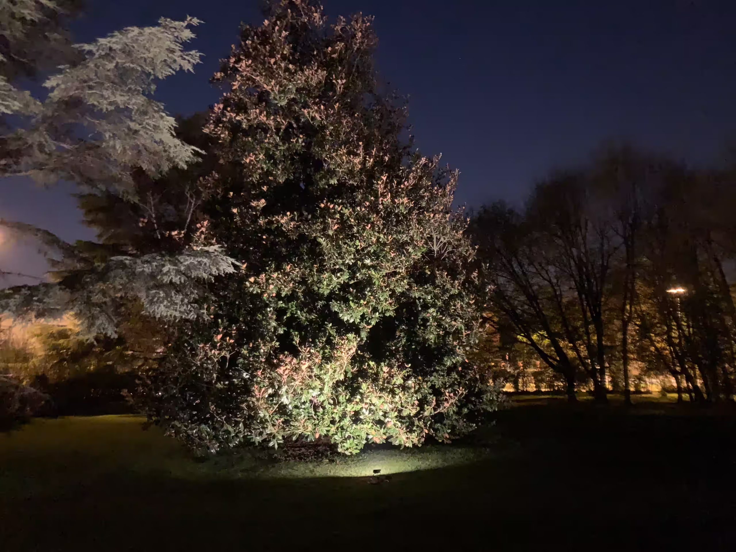 Vivai Feder - Realizzazione - Parco con impianto illuminazione 8