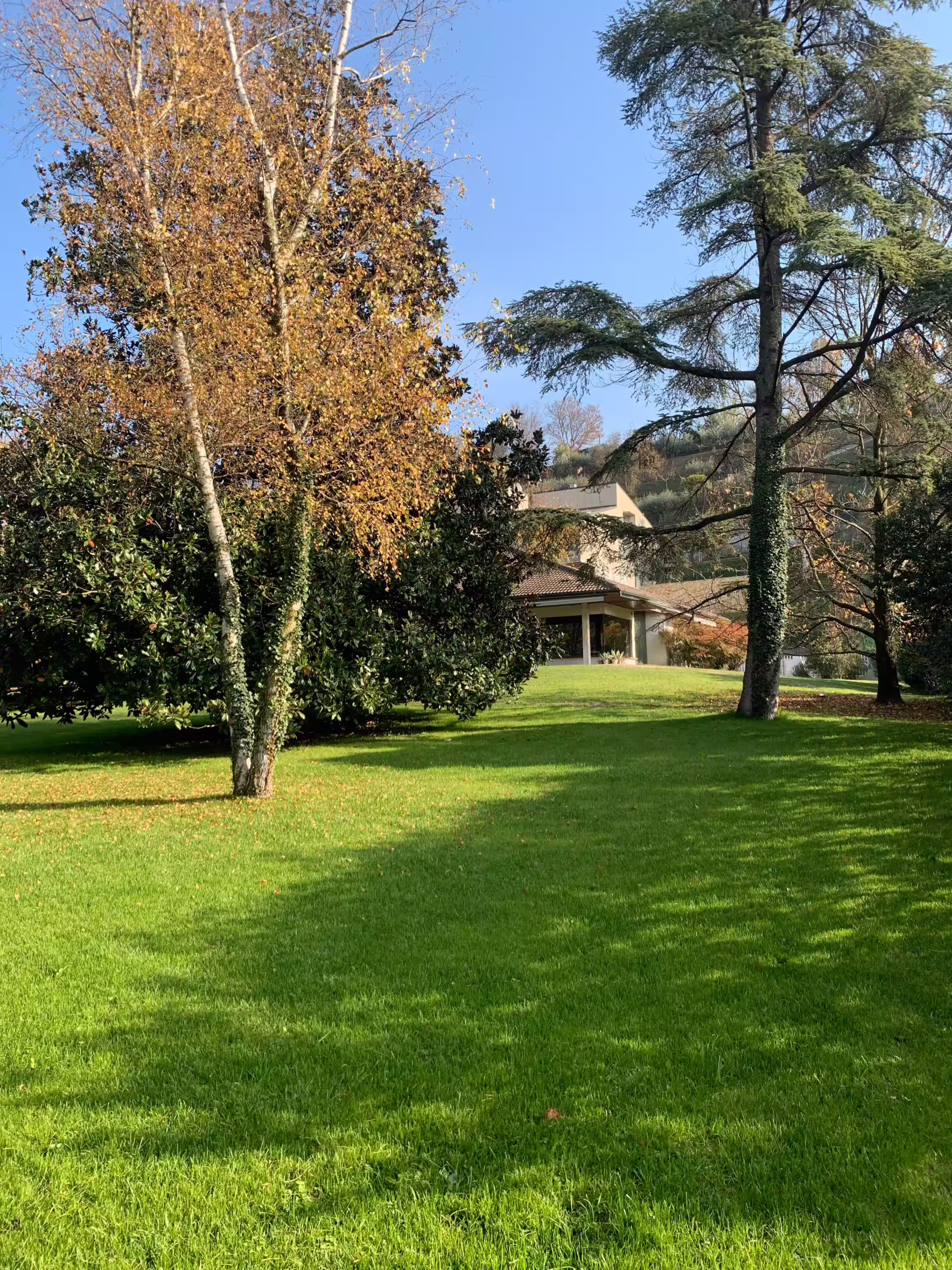 Vivai Feder - Realizzazione - Parco con impianto illuminazione 7