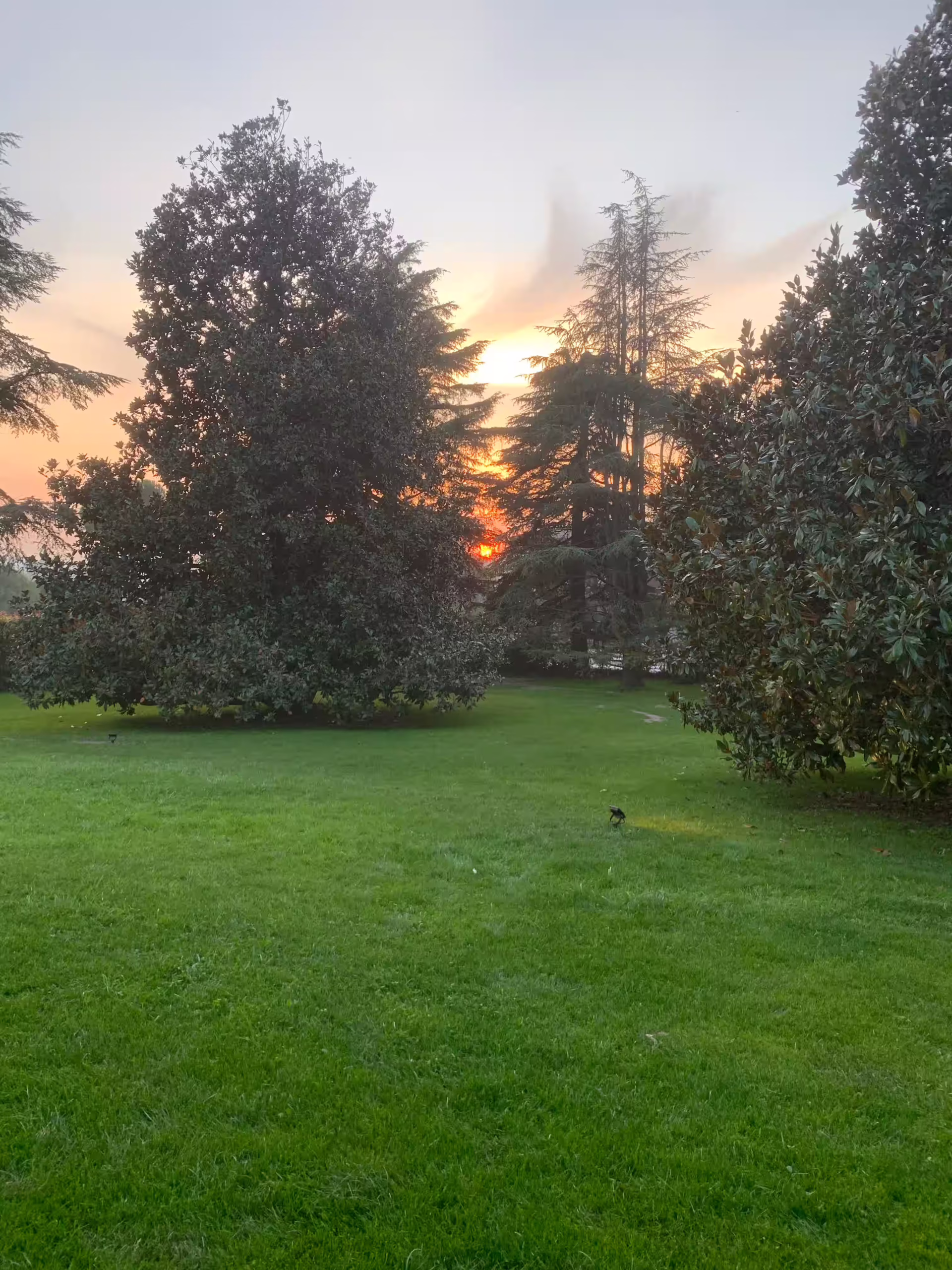 Vivai Feder - Realizzazione - Parco con impianto illuminazione 6