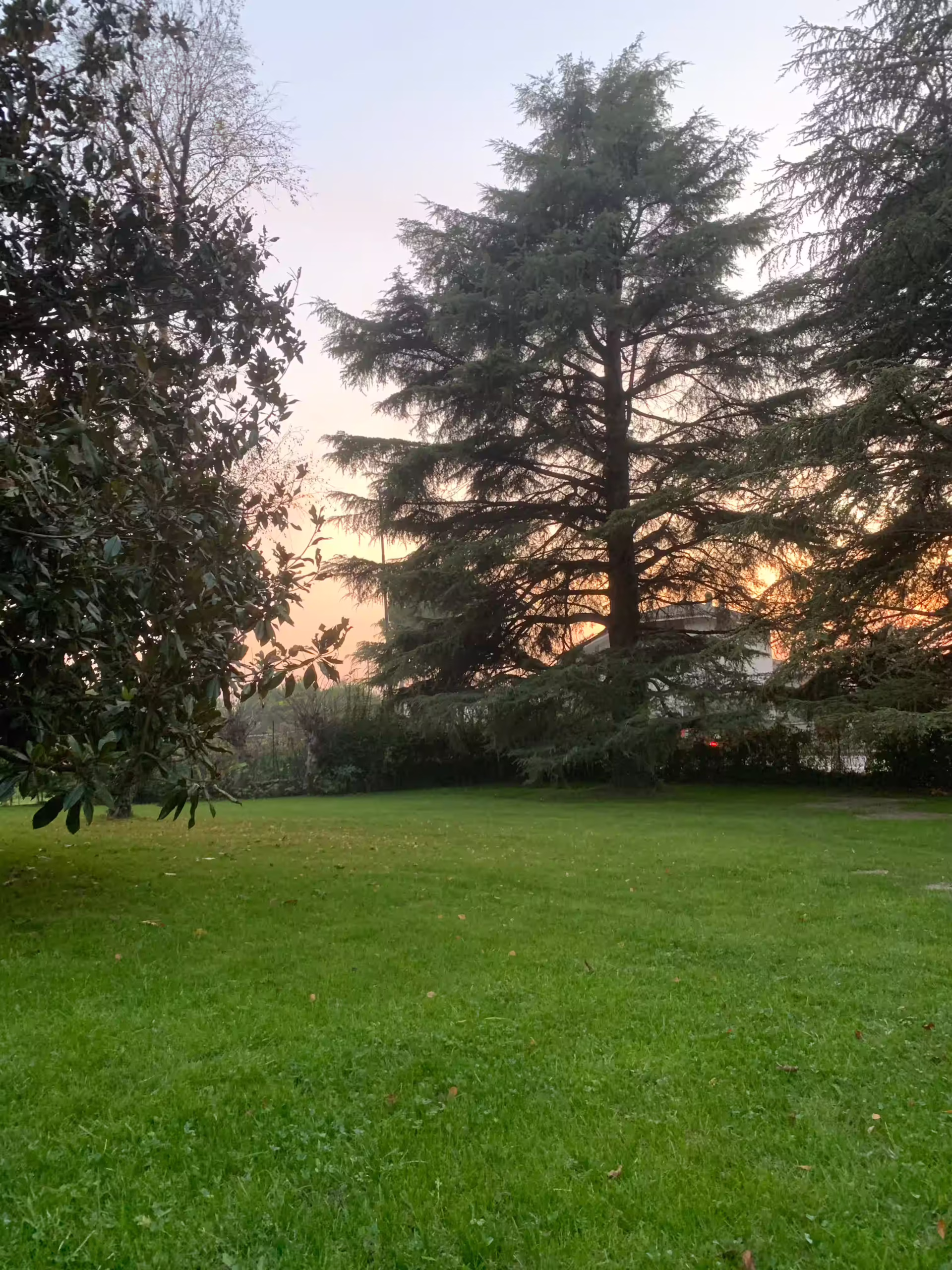 Vivai Feder - Realizzazione - Parco con impianto illuminazione 4