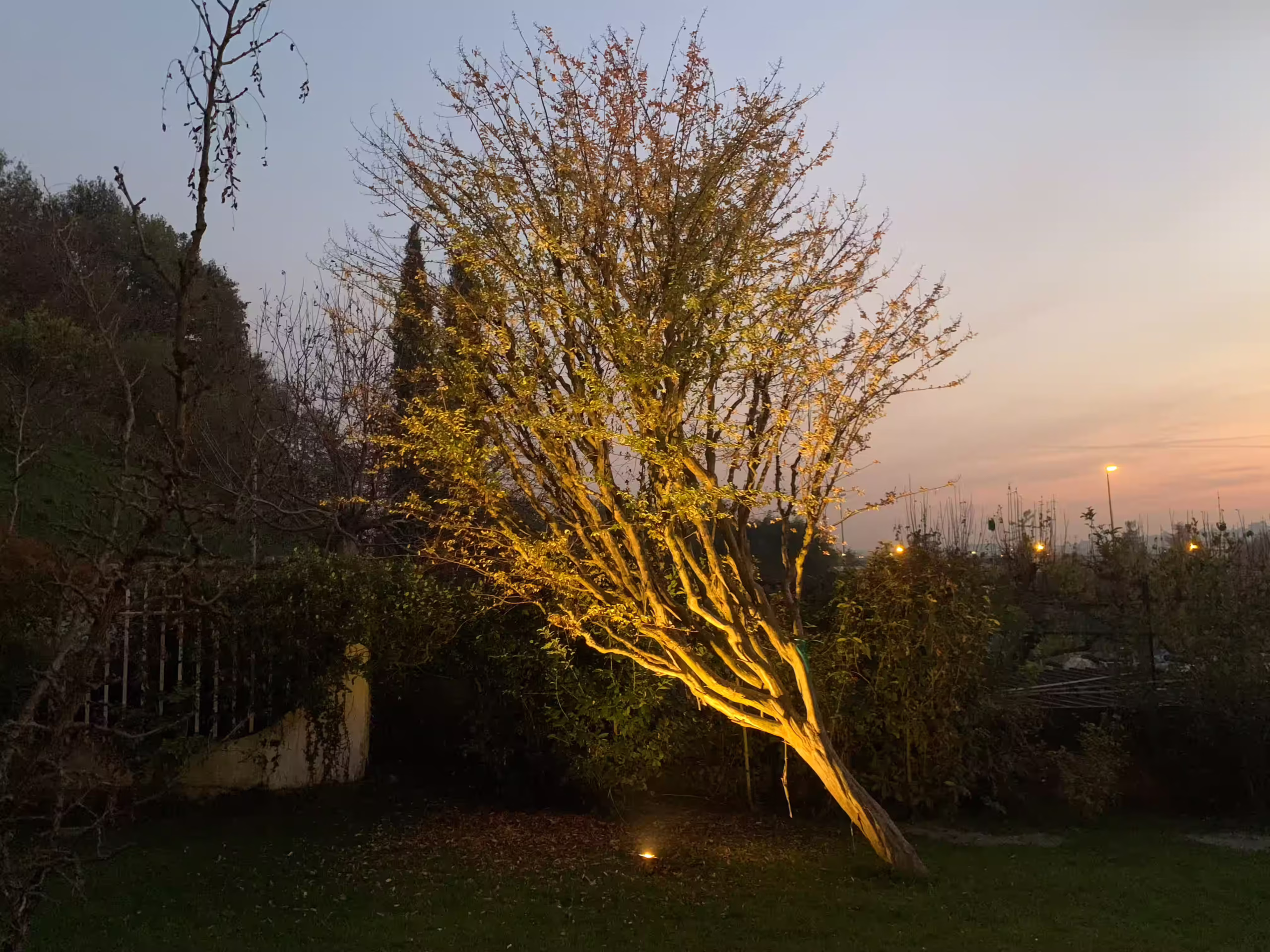 Vivai Feder - Realizzazione - Parco con impianto illuminazione 3