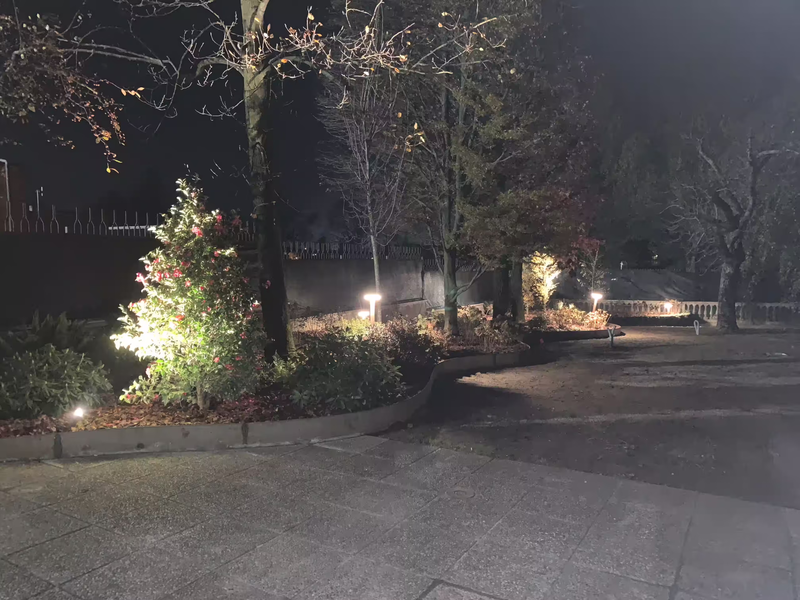 Vivai Feder - Realizzazione - Parco con illuminazione 2 | 6