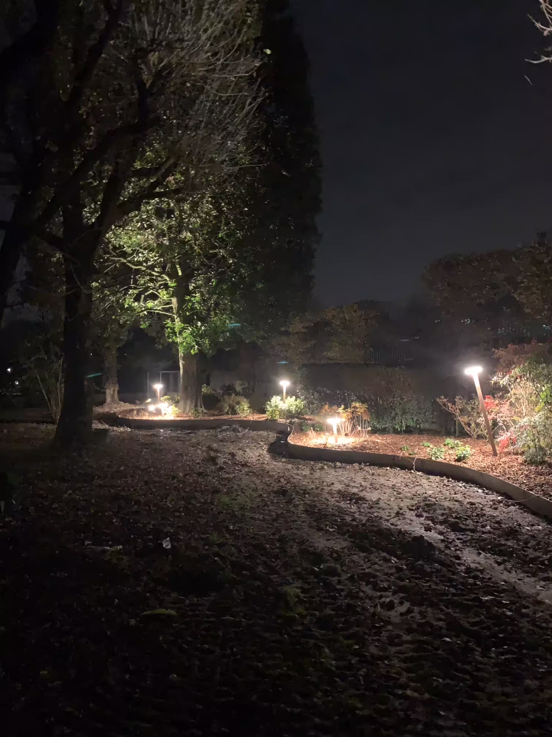 Vivai Feder - Realizzazione - Parco con illuminazione 2 | 7