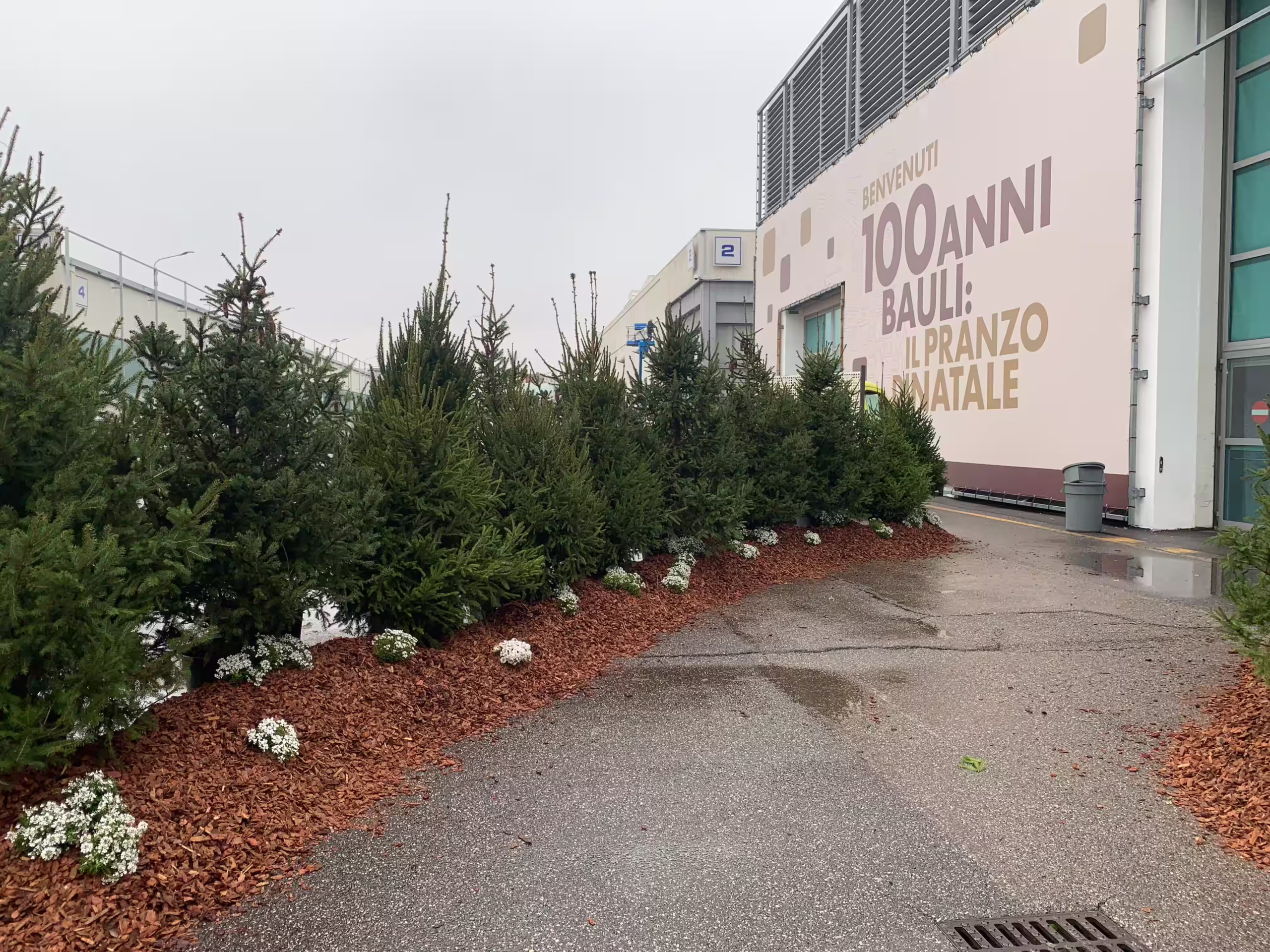 Vivai Feder - Allestimenti - Bauli 6