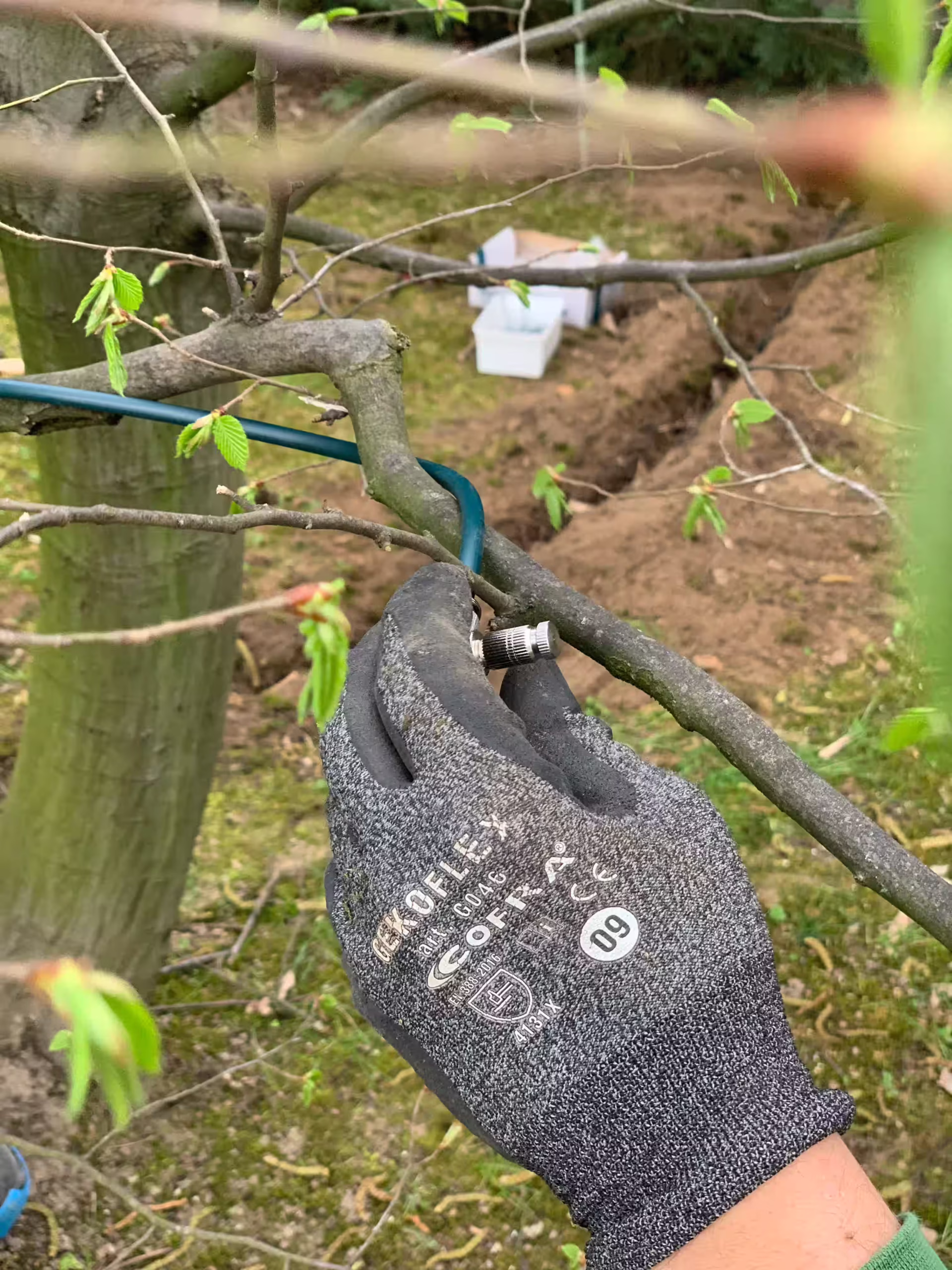 Vivai Feder - FeeZanz - Cerea 5