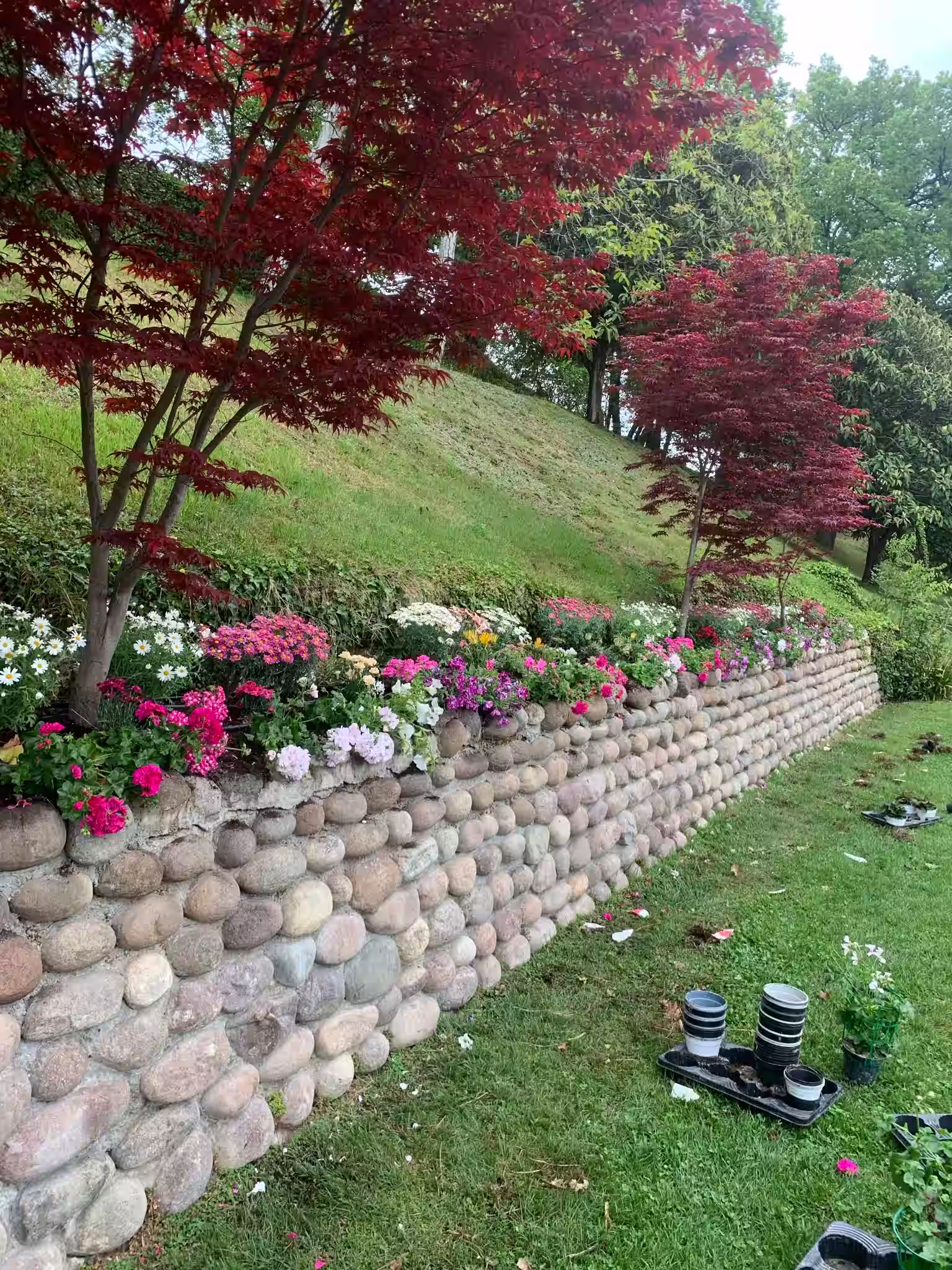 Vivai Feder - Manutenzione - Casa di Papi 6