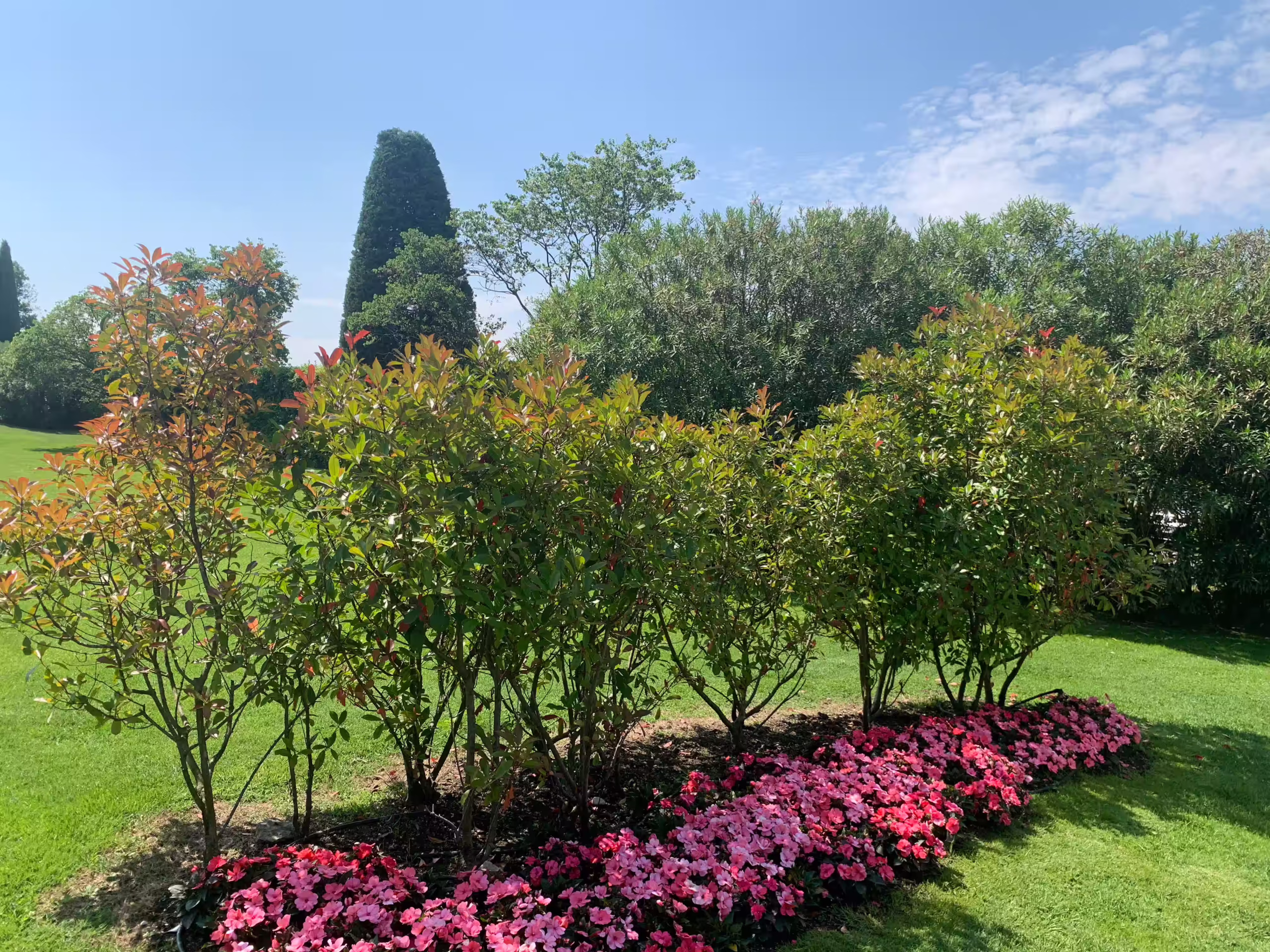 Vivai Feder - Manutenzione - Casa di Papi 7