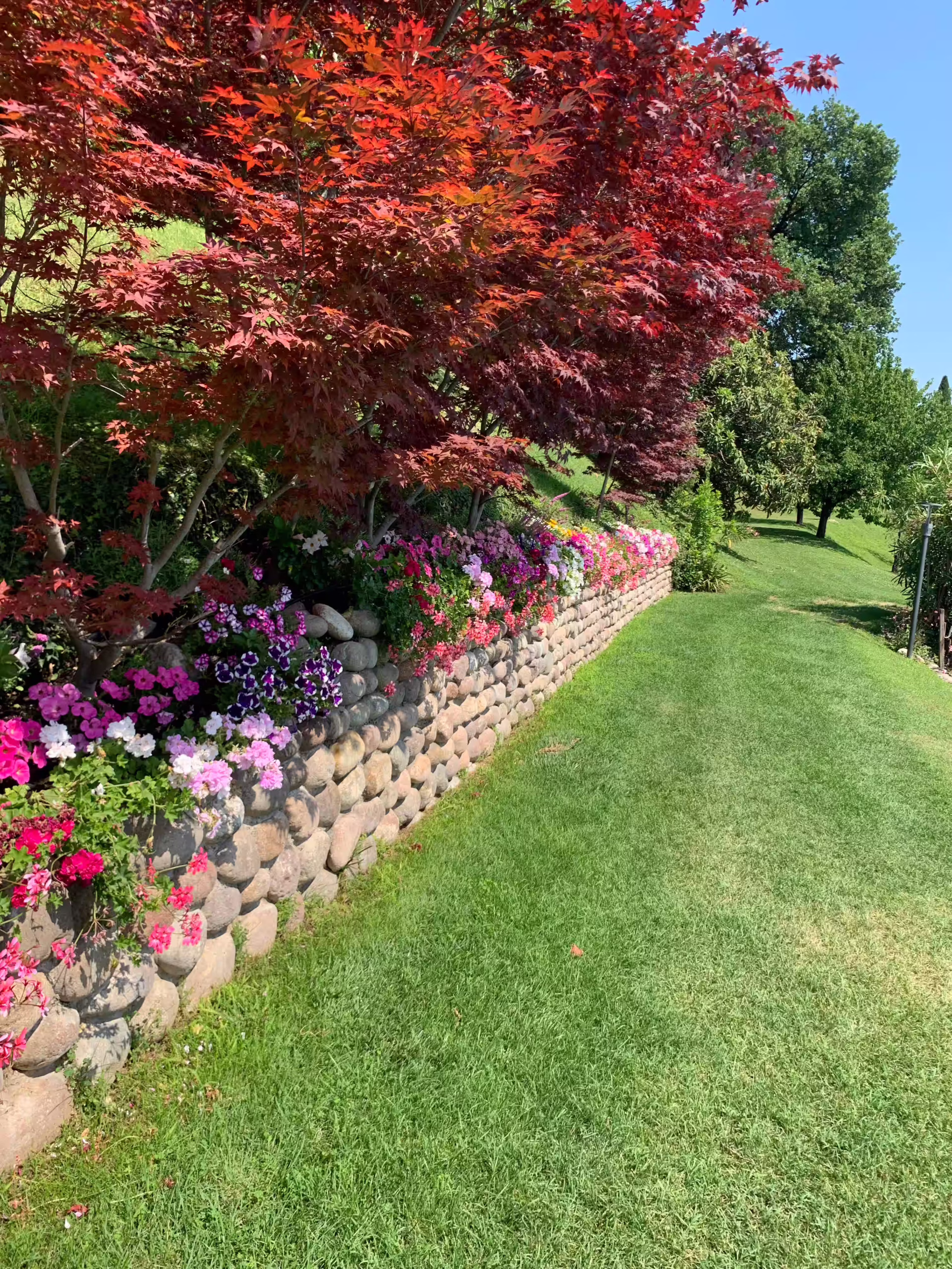 Vivai Feder - Manutenzione - Casa di Papi 8