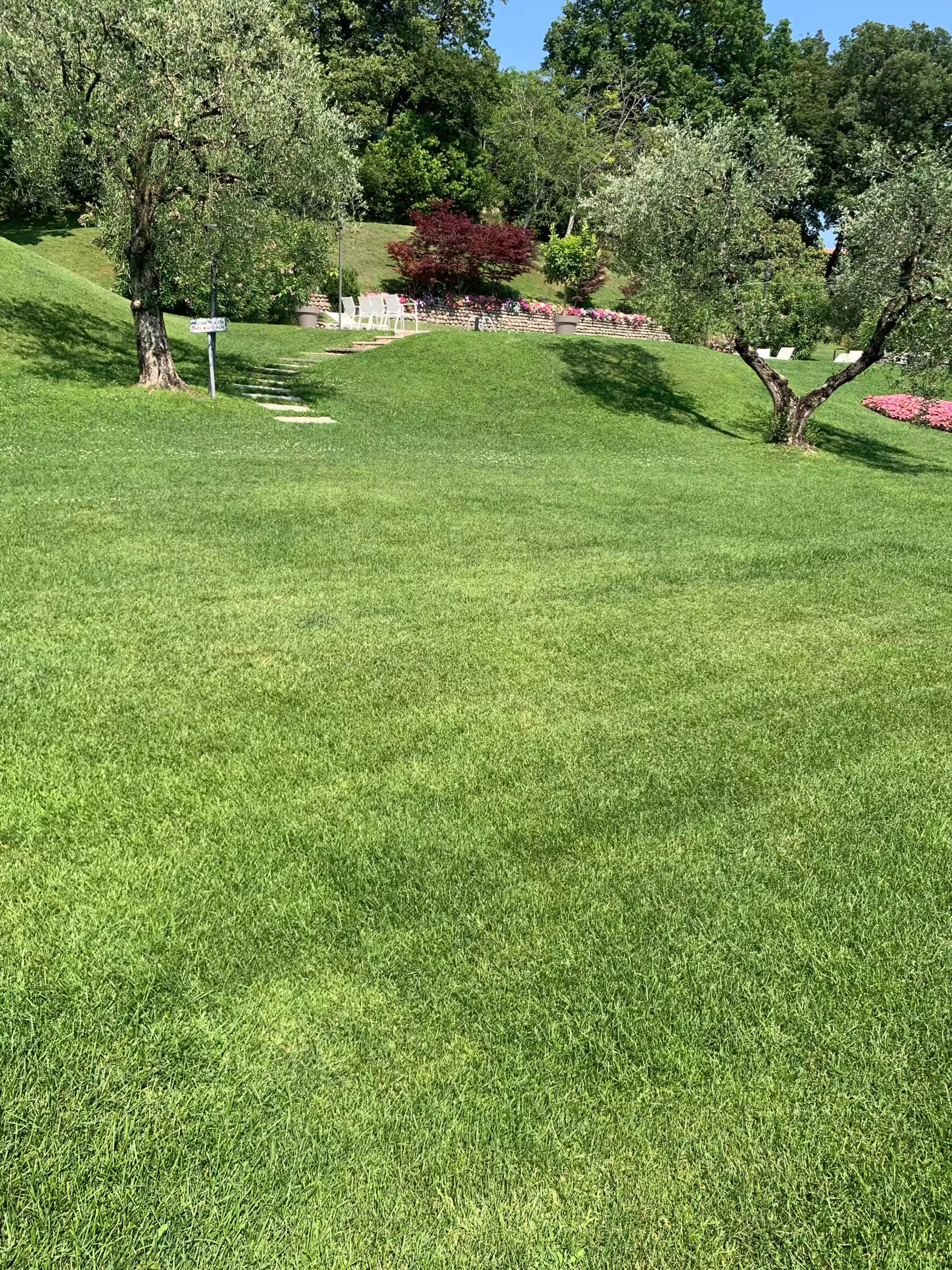 Vivai Feder - FeeZanz - Villa Villafranca 4