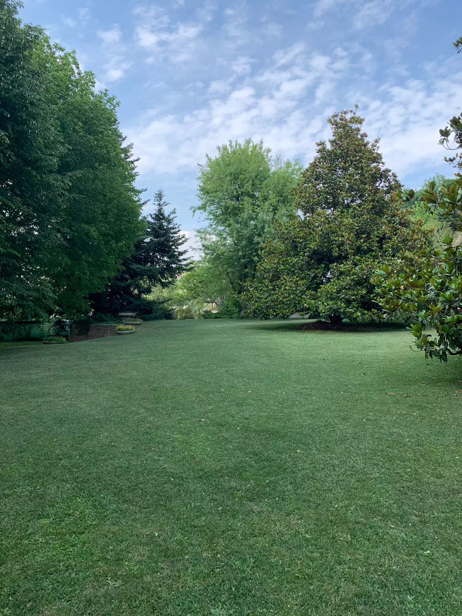 Vivai Feder - Realizzazione - Parco con impianto illuminazione 2