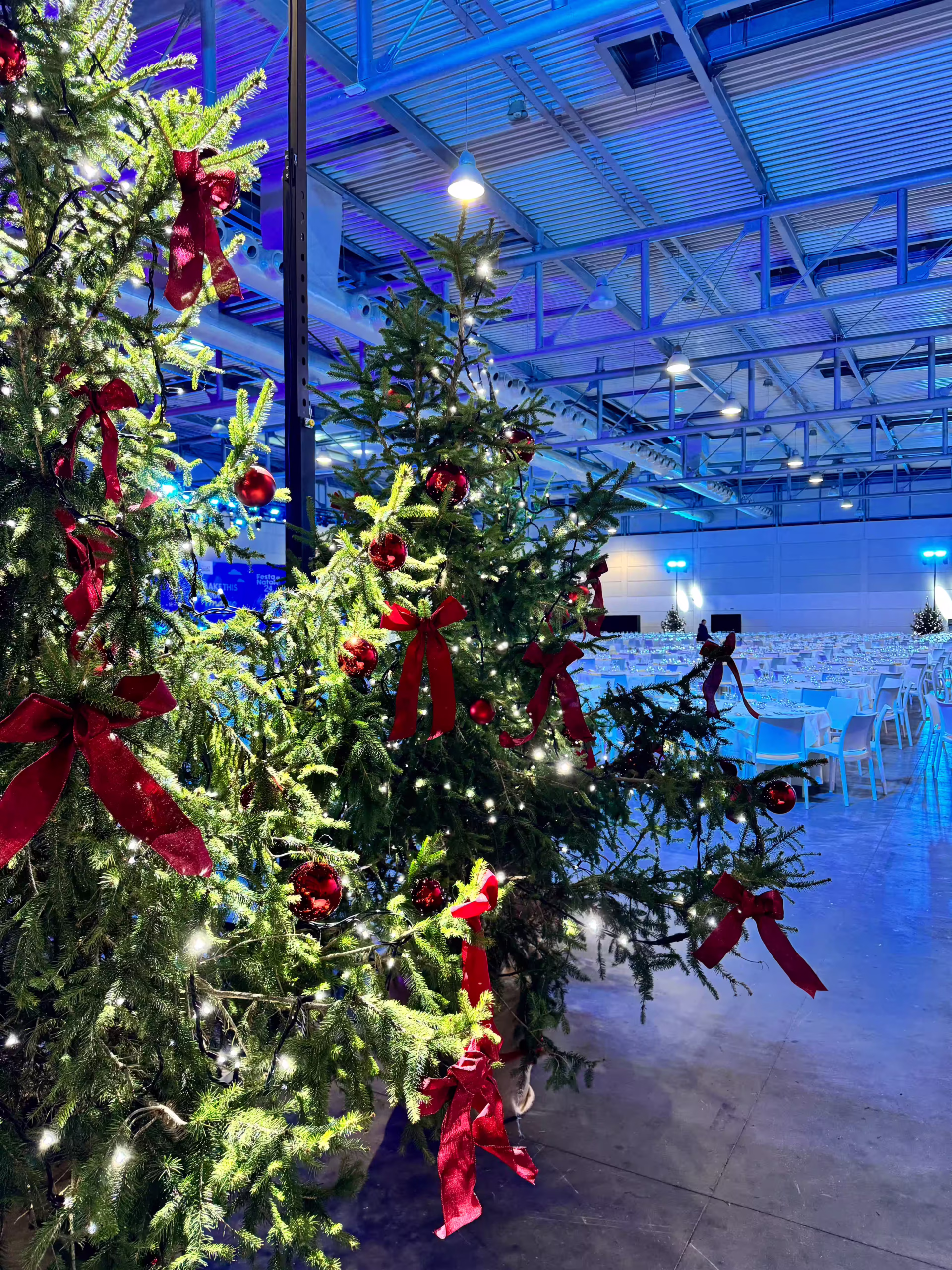 Vivai Feder - Allestimenti - Bauli 1