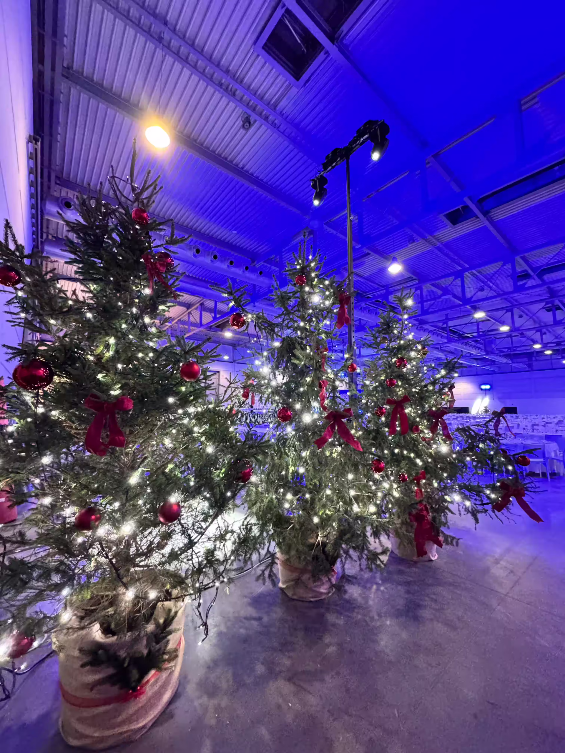 Vivai Feder - Allestimenti - Bauli 2