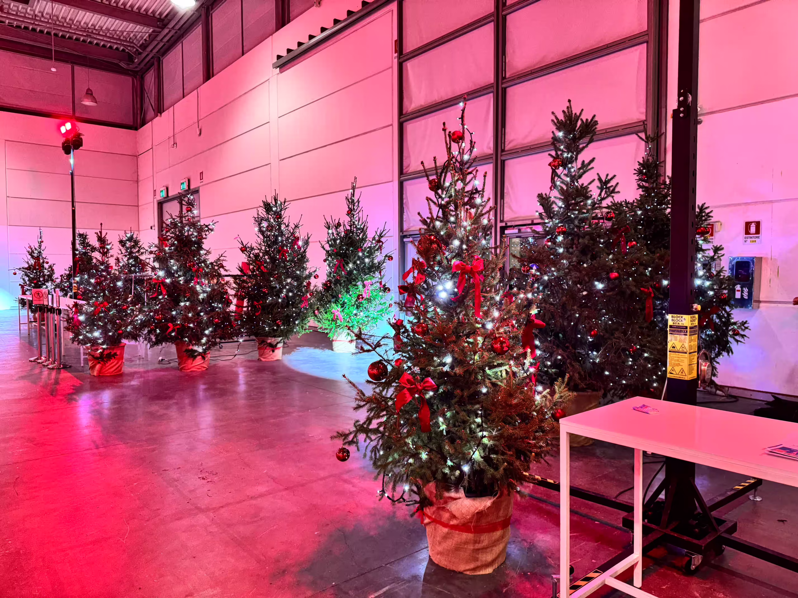 Vivai Feder - Allestimenti - Bauli 4