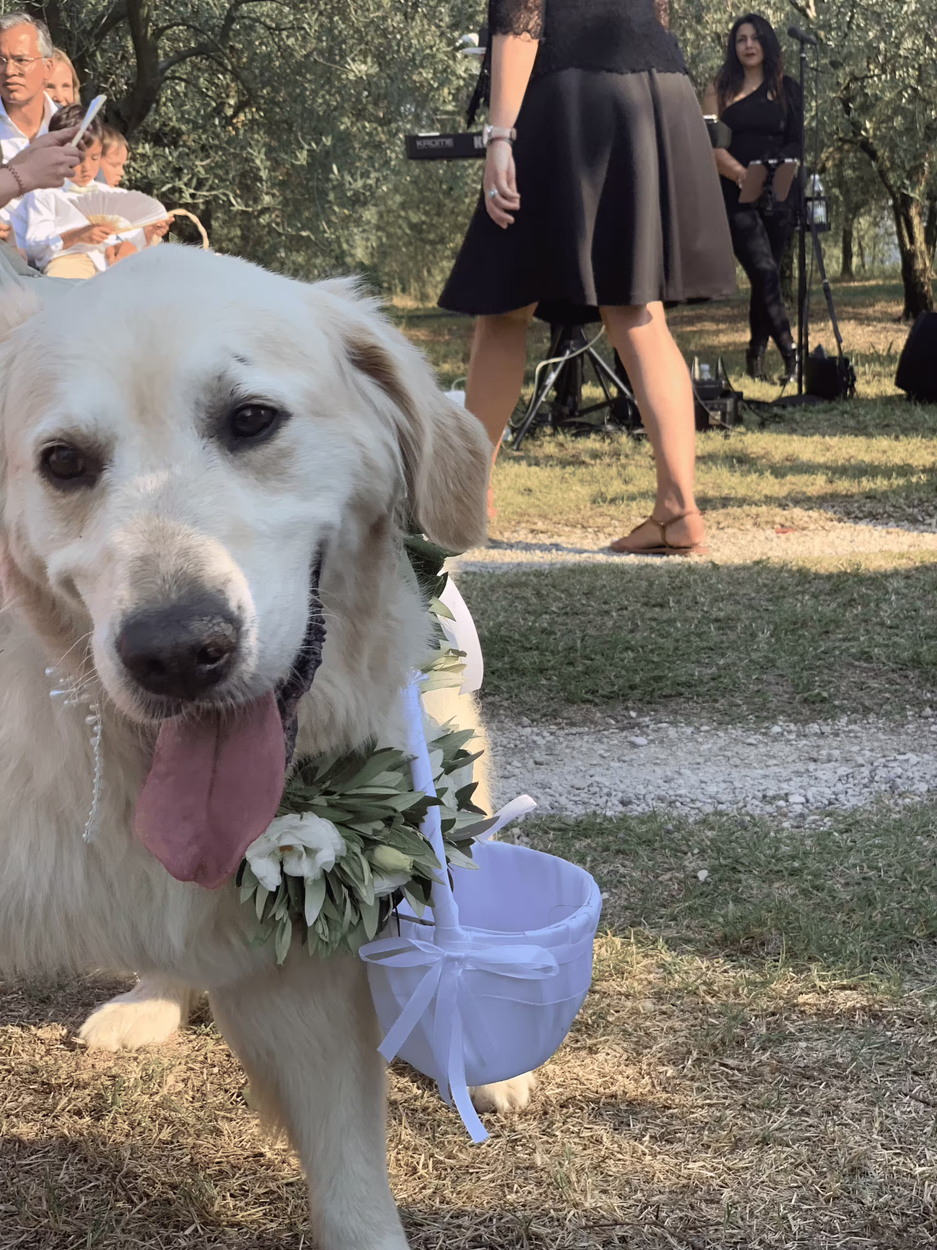 Vivai Feder - Allestimenti - Matrimoni 9