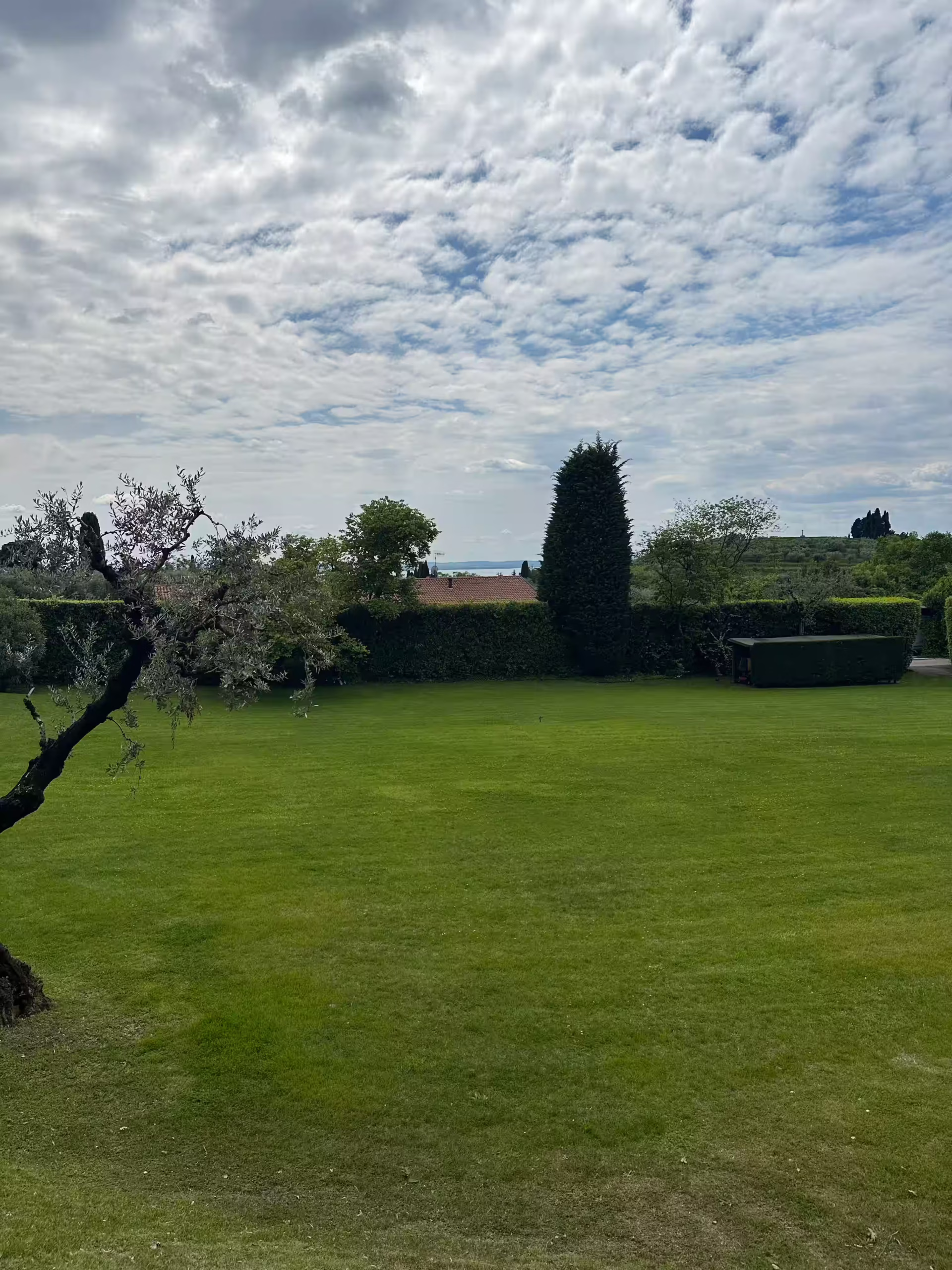 Vivai Feder - Manutenzione - Casa di Papi 4