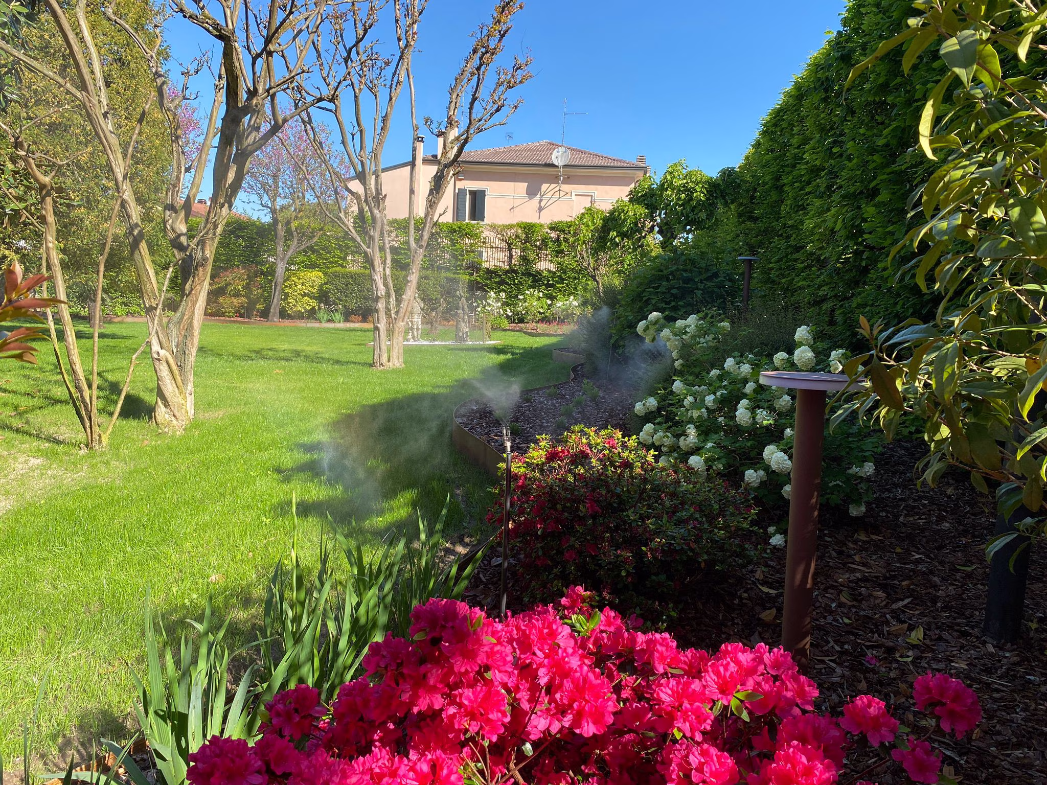 Vivai Feder - Impianto Freezanz Cereaa 2