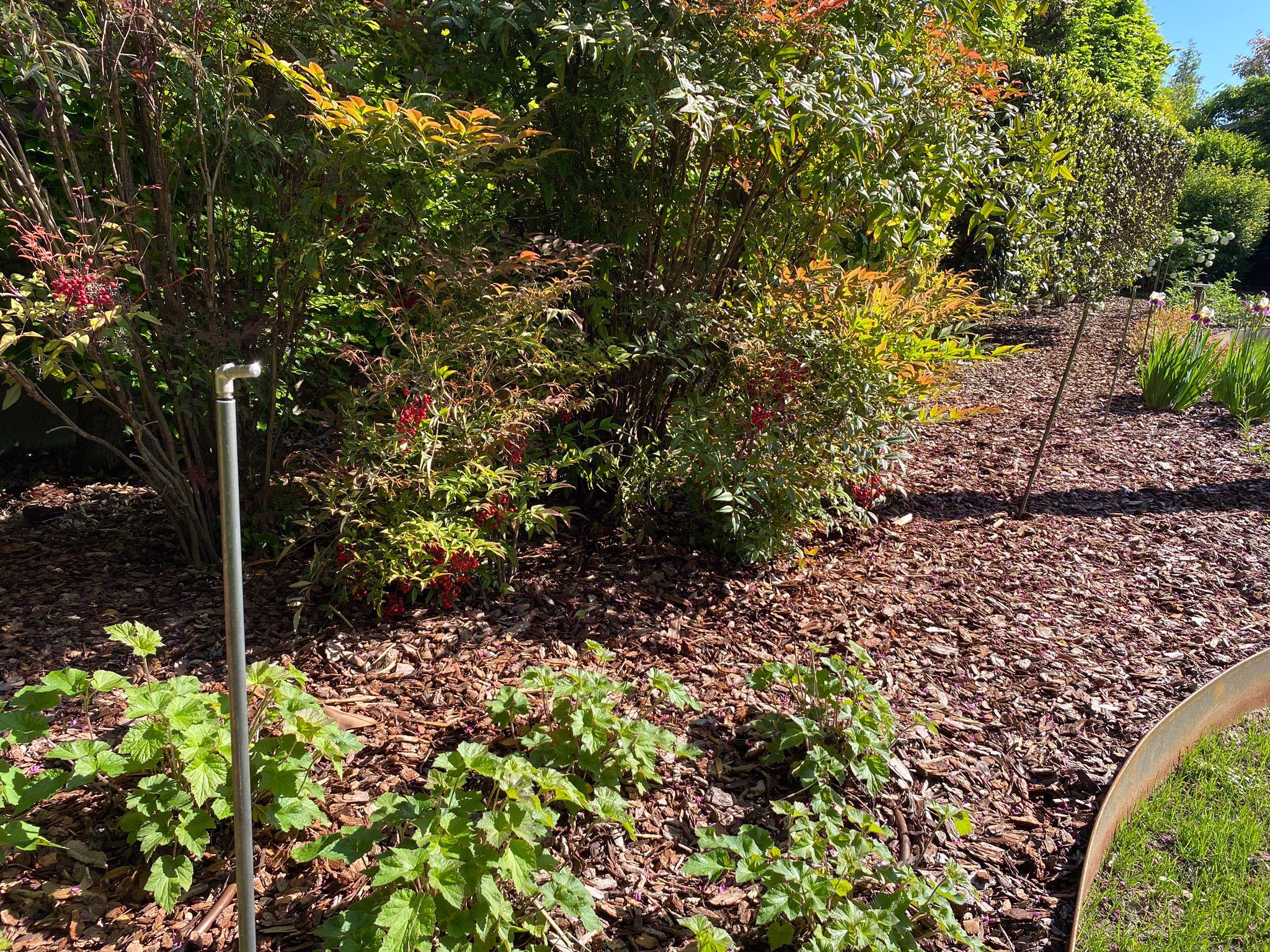 Vivai Feder - Impianto Freezanz Cereaa 3